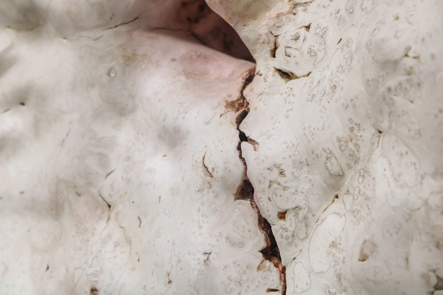 Julian Watts, Plume, 2022