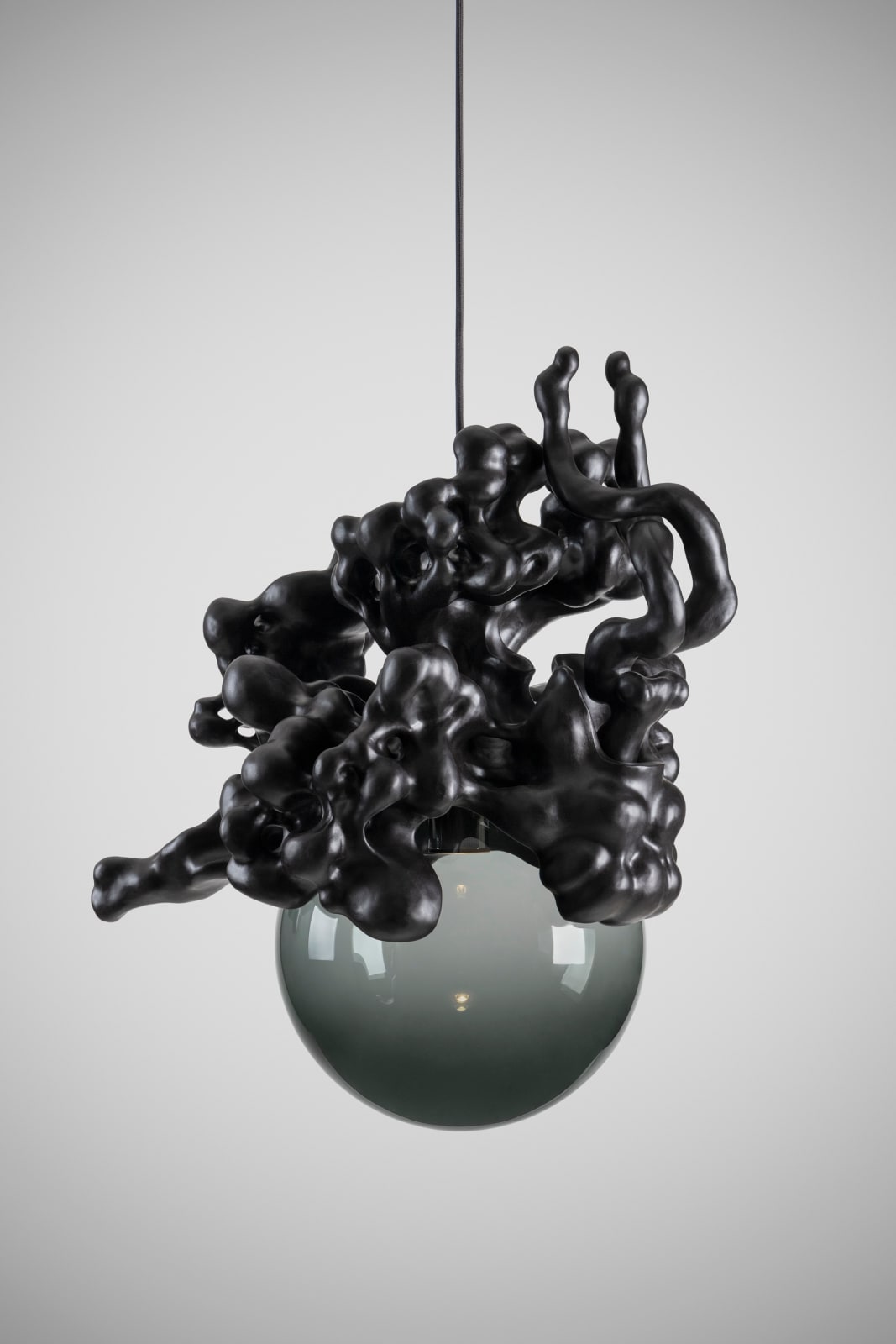 Tadeas Podracky, The Bloom of Bones Light in Black, 2025