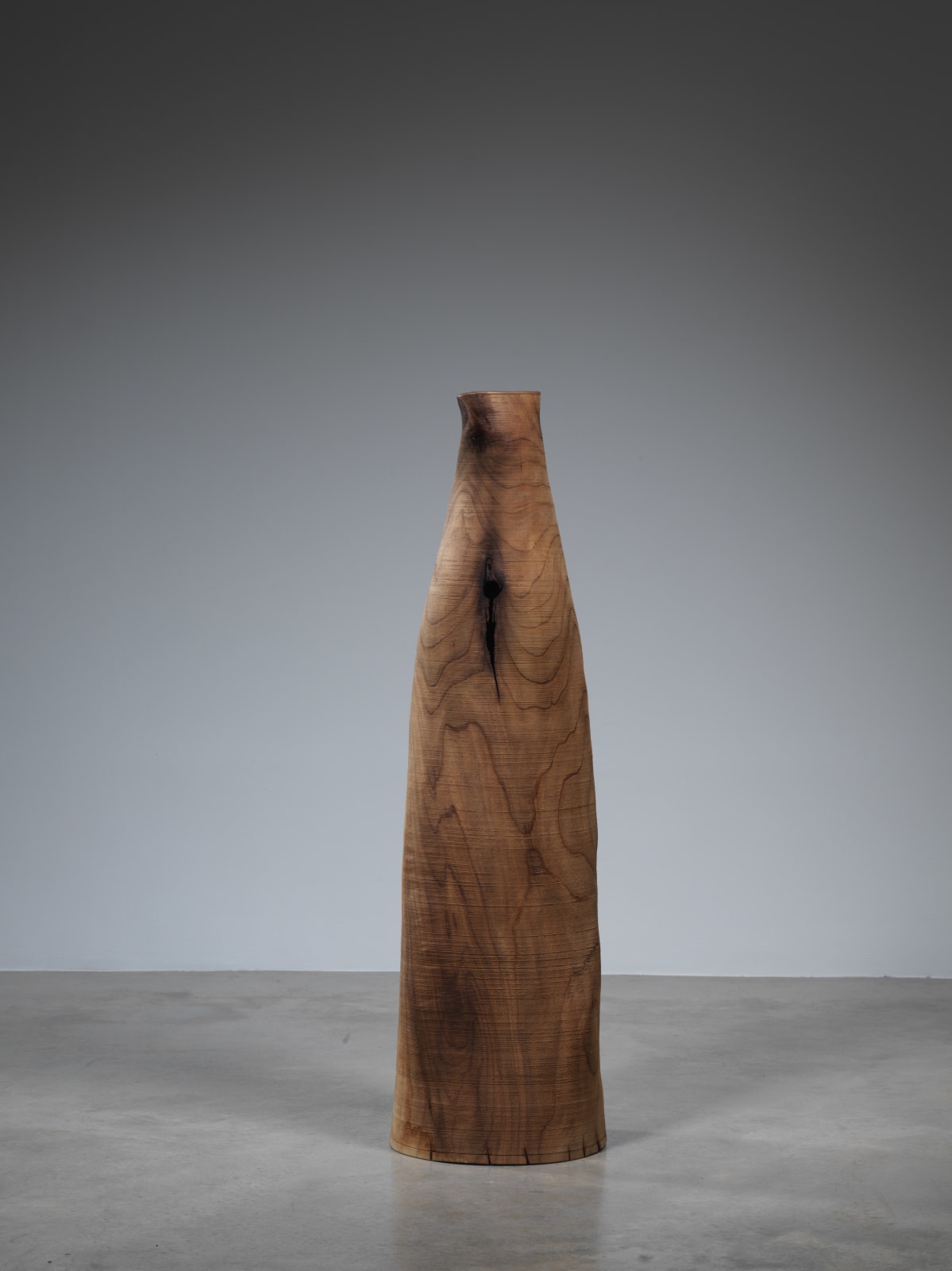 Ernst Gamperl, 61/2019/100, 2019