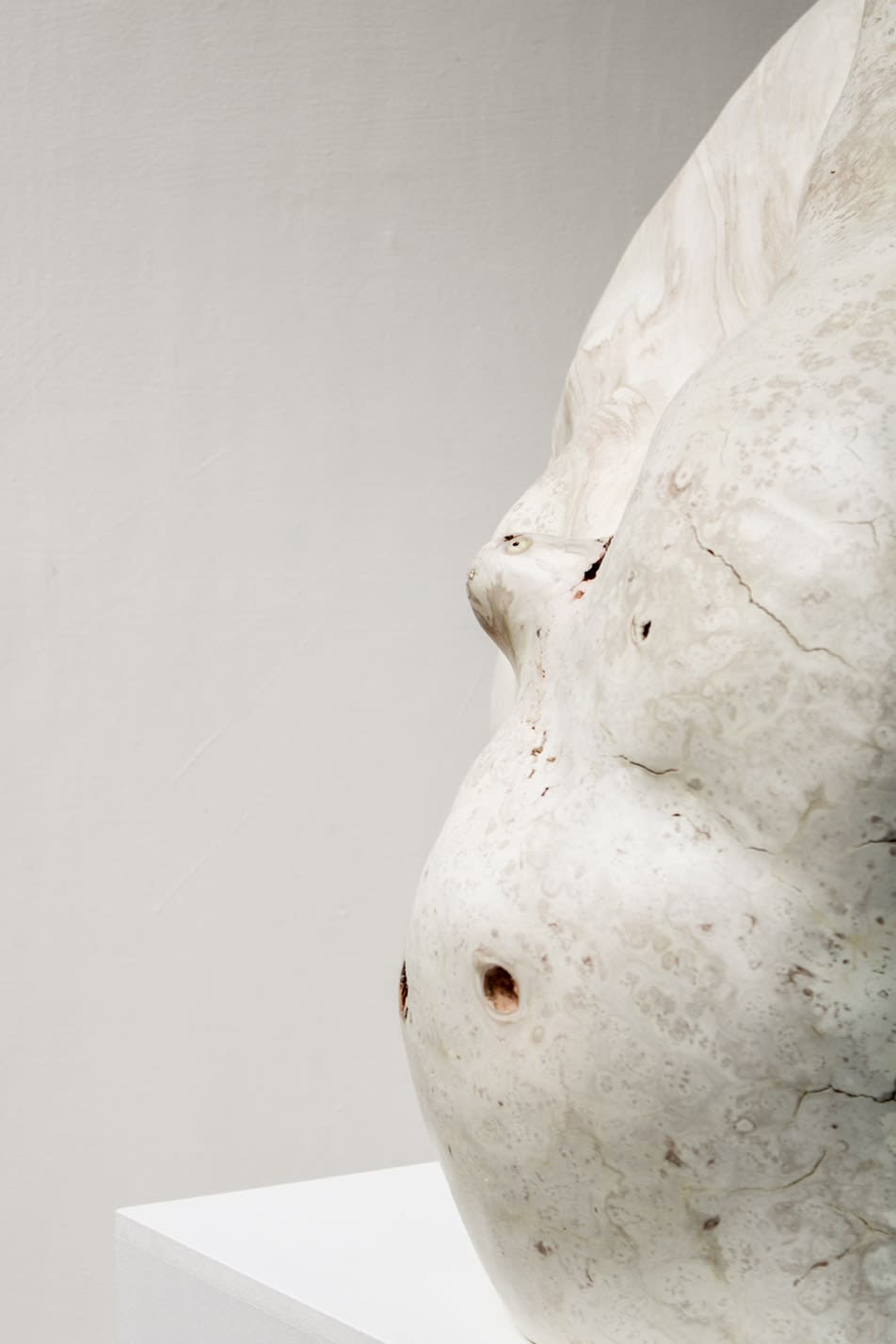 Julian Watts, Shell, 2022