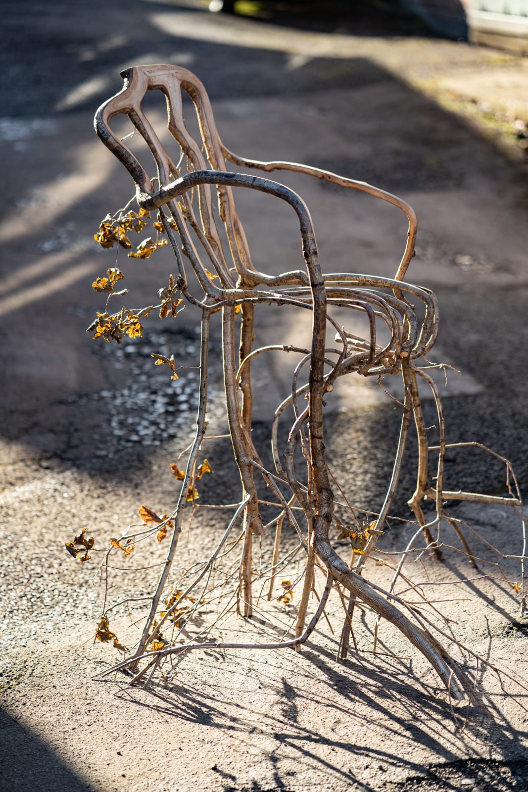 Full Grown, The Daphne Chair, 2024