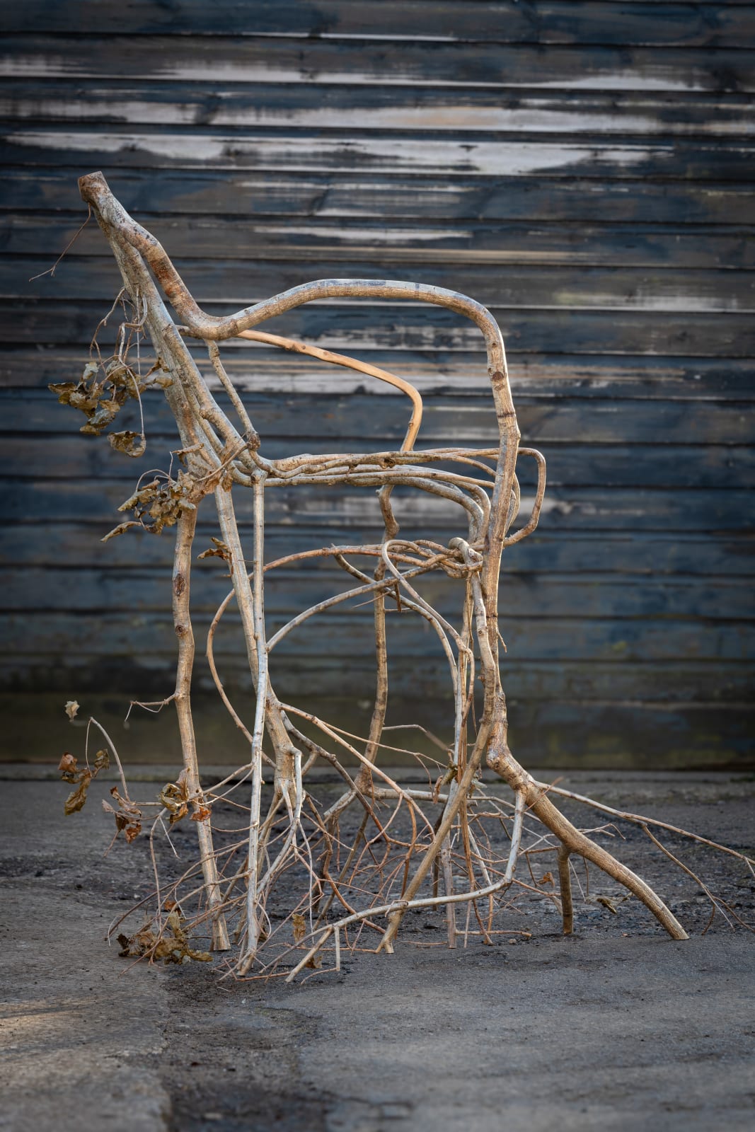 Full Grown, The Daphne Chair, 2024