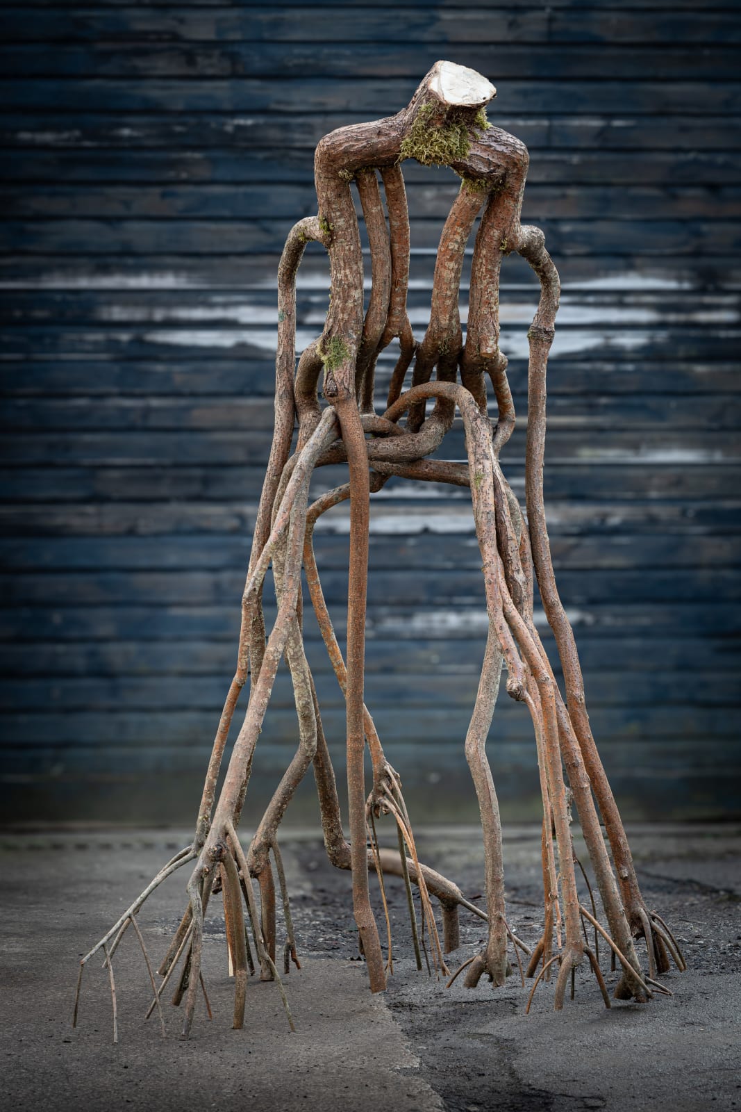 Full Grown, The Athena Behemoth Chair, 2024