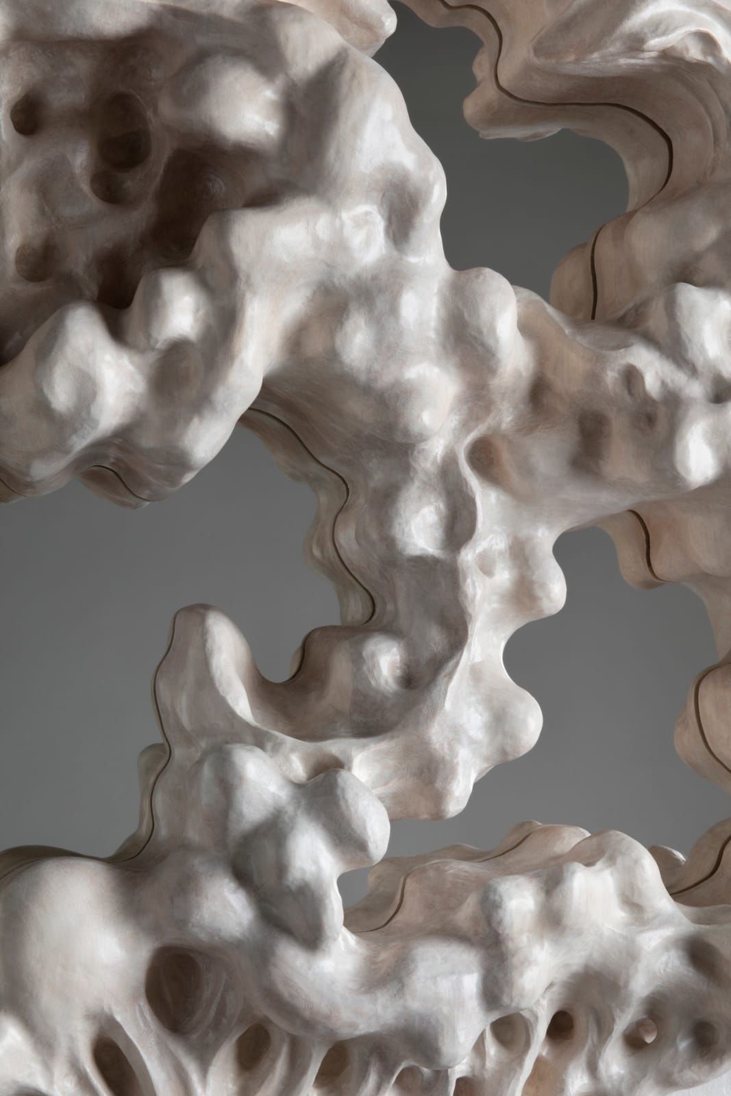 Tadeas Podracky, The Bloom of Bones Mirror, 2024