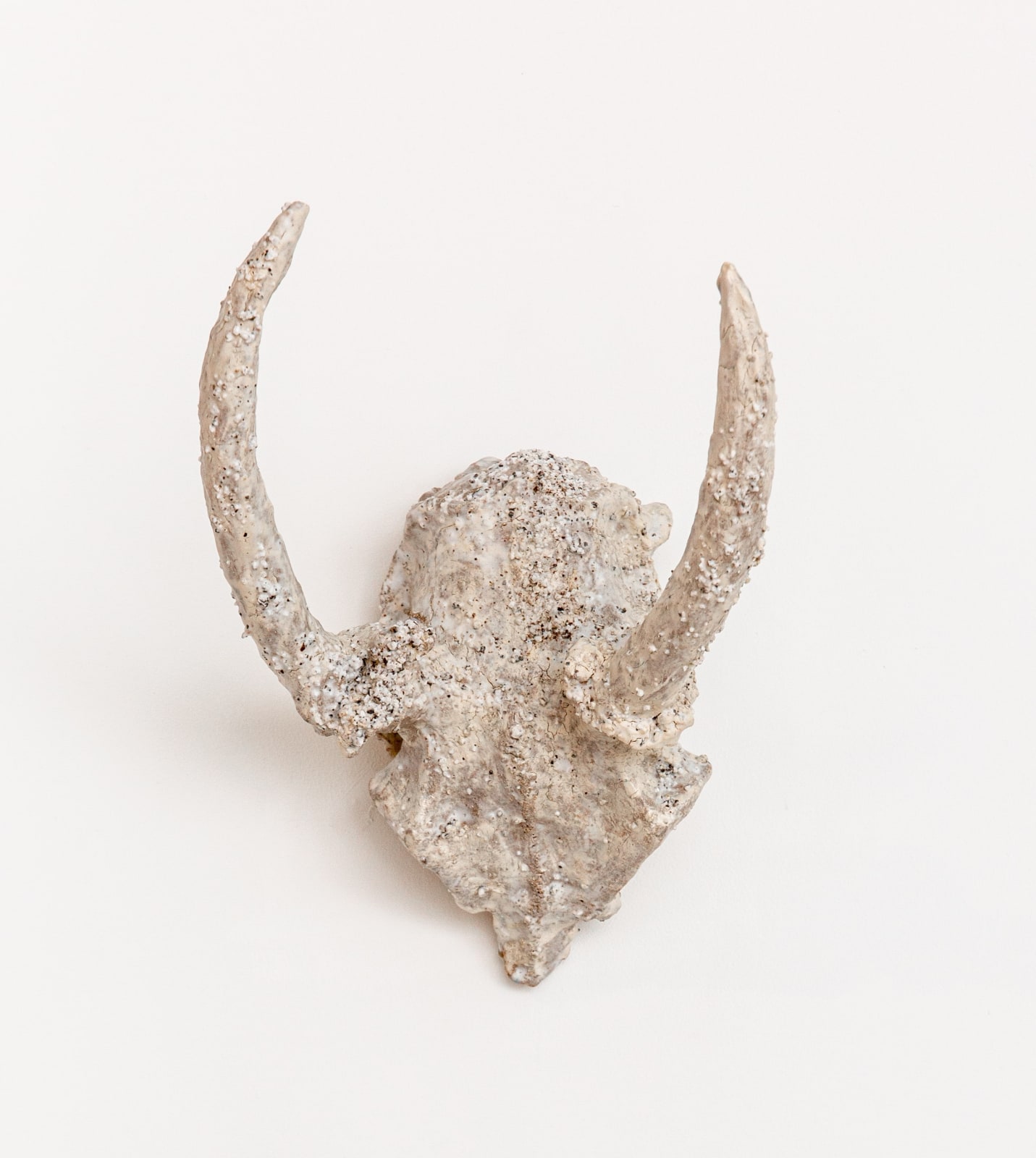 Aneta Regel, Horned 2, 2024