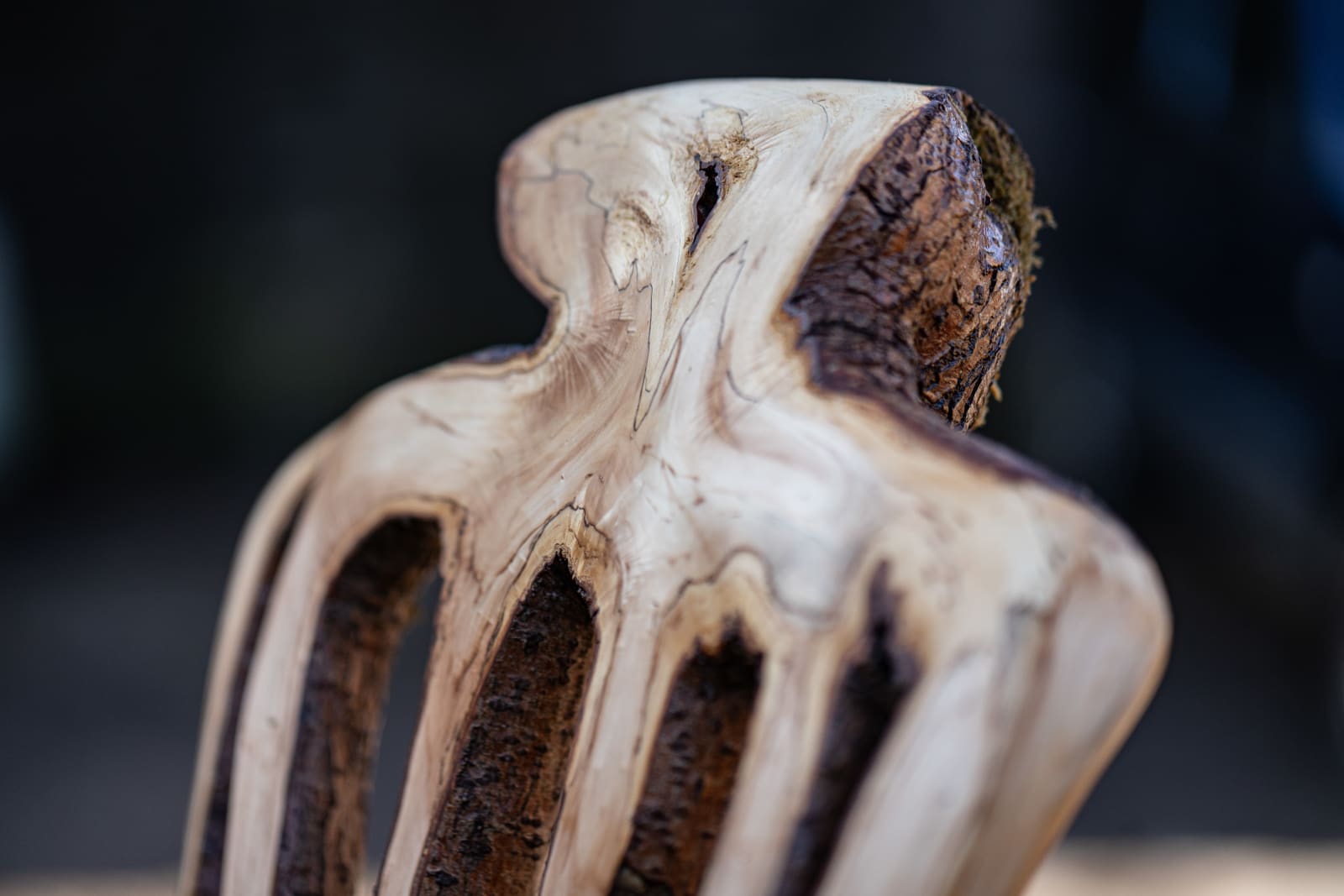 Full Grown, The Kraken Chair, 2024