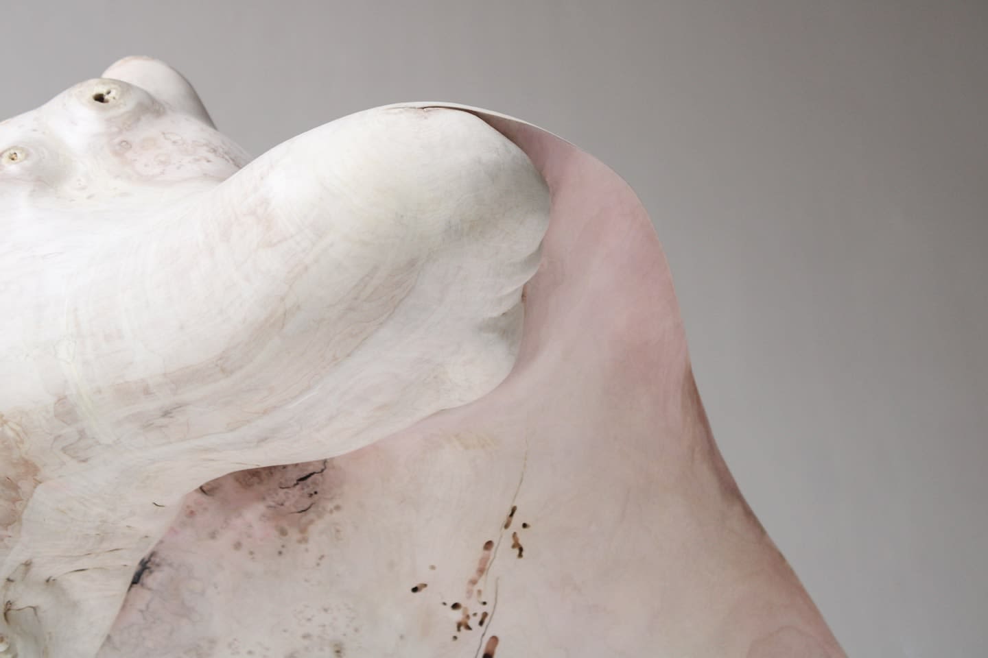Julian Watts, Shell, 2022