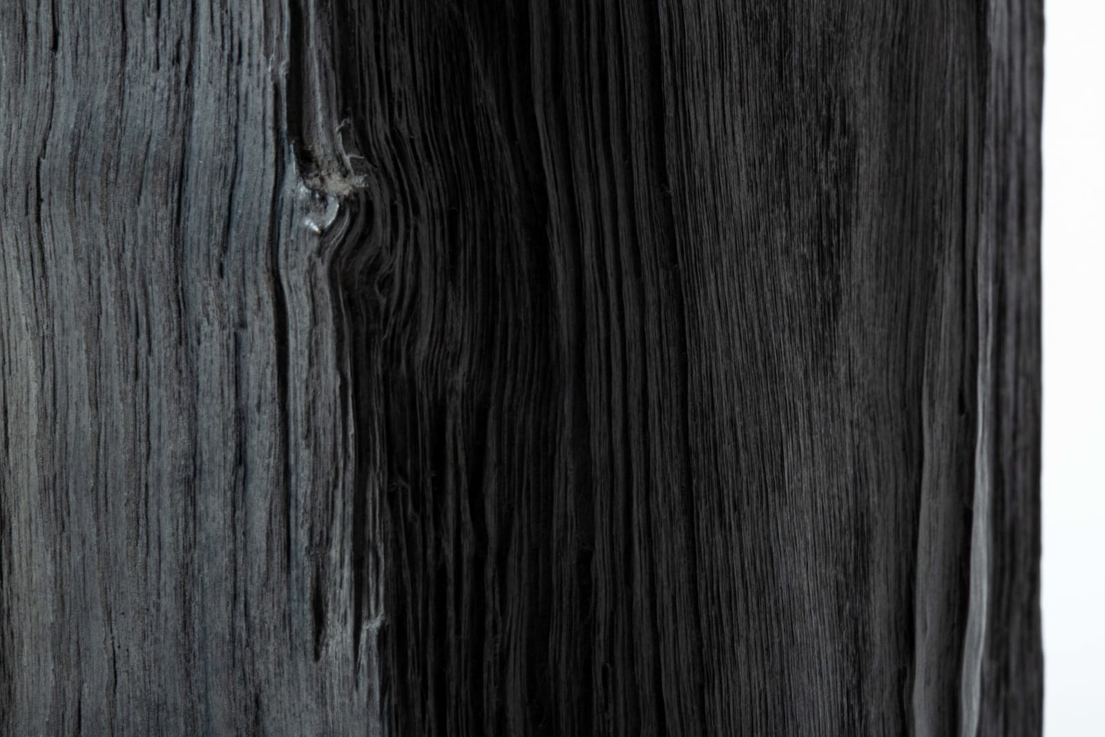 Kenji Honma, Contours of Past, 2022