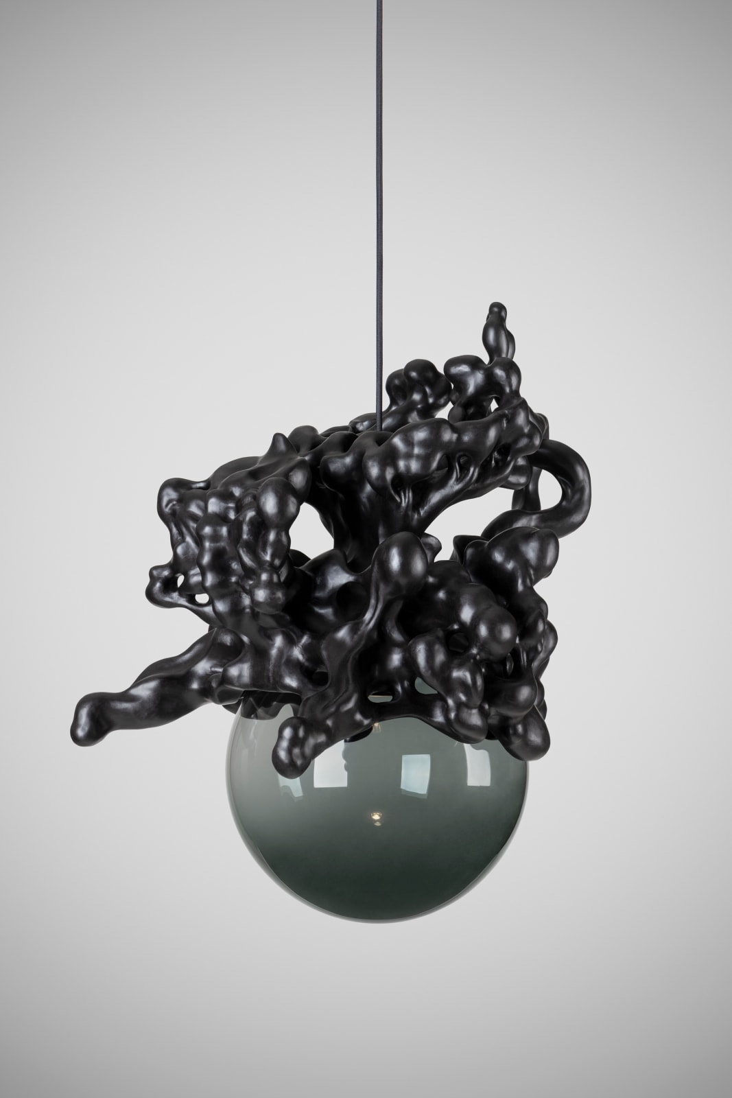 Tadeas Podracky, The Bloom of Bones Light in Black, 2025