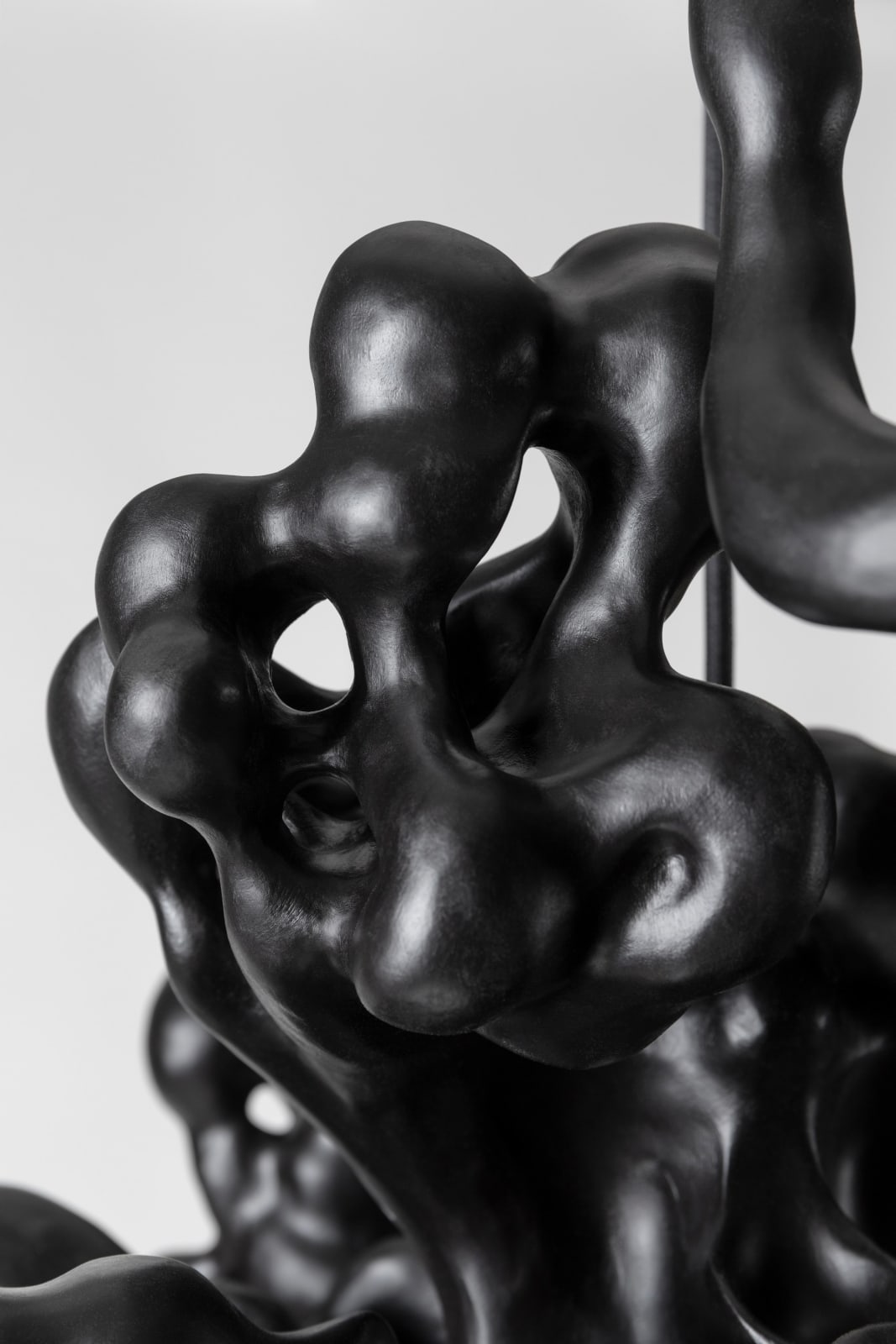 Tadeas Podracky, The Bloom of Bones Light in Black, 2025