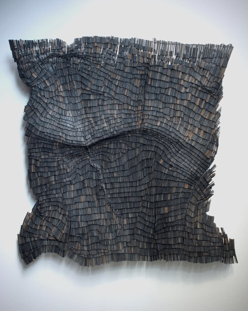 Wycliffe Stutchbury, Holme Fen 10, 2025