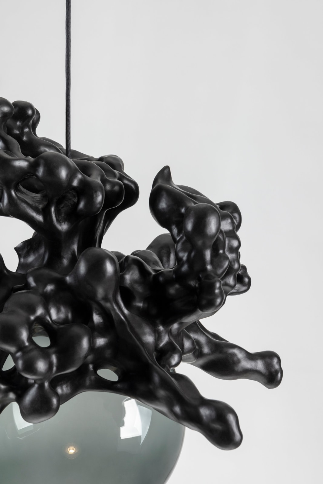 Tadeas Podracky, The Bloom of Bones Light in Black, 2025