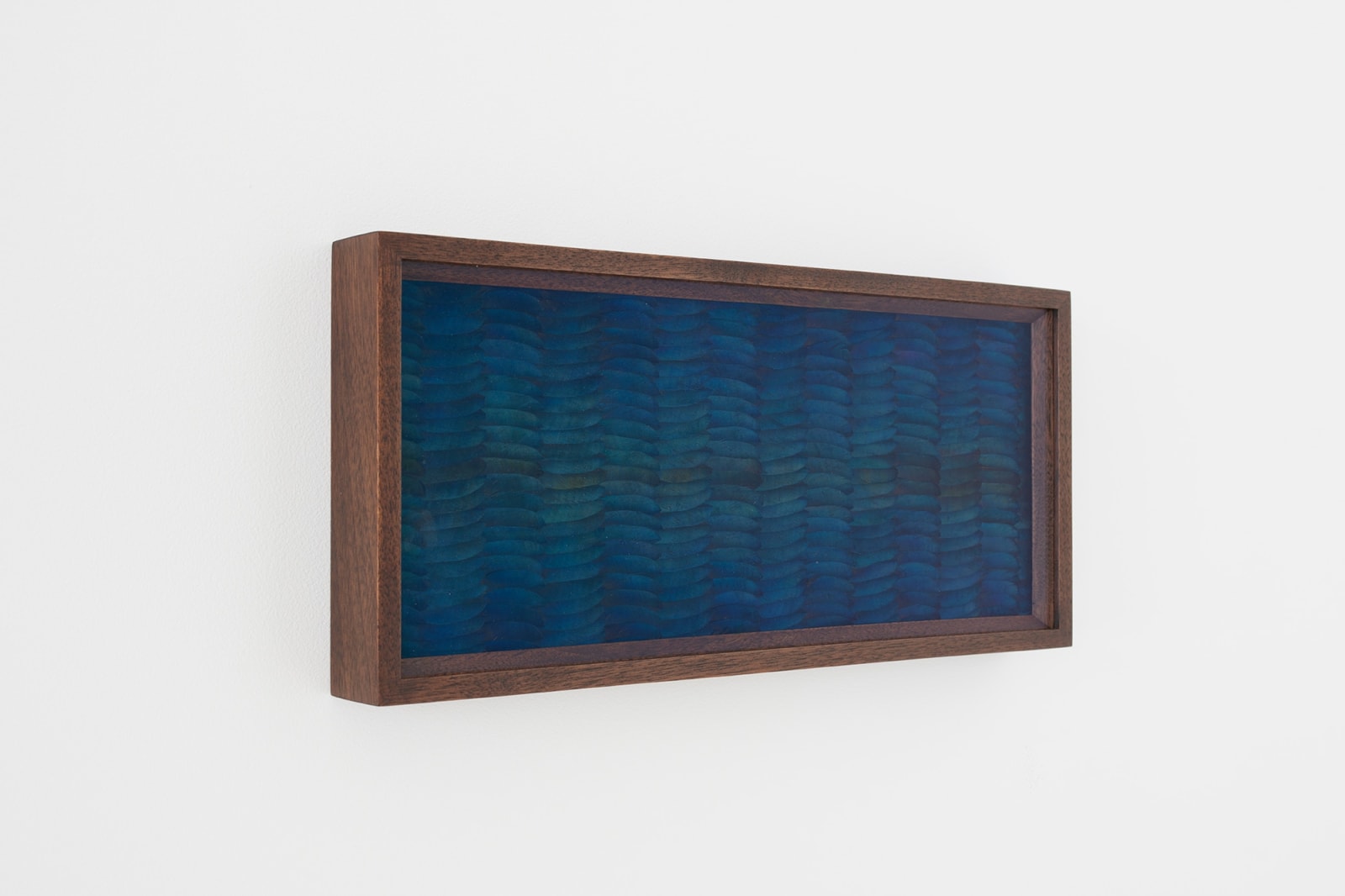 Kate MccGwire, WHELM (Pervade), 2025