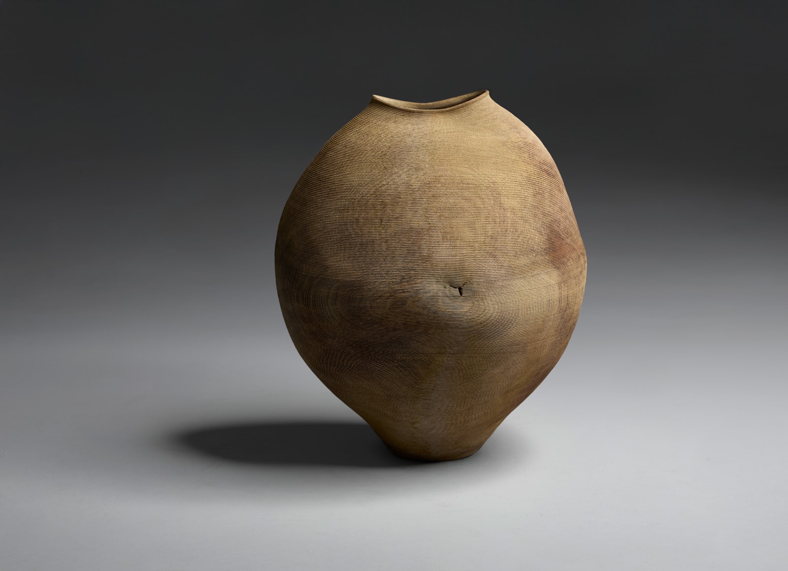 Ernst Gamperl, 13/2024//200, 2024