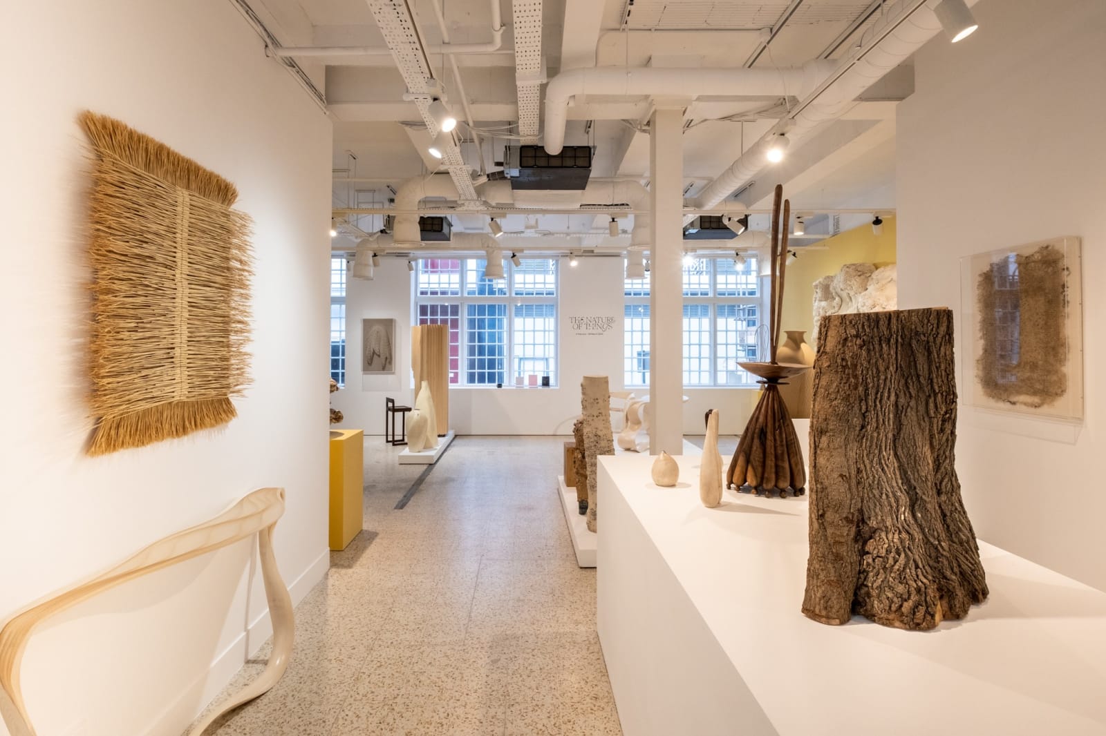 Max Bainbridge / Forest+Found, Copse, 2022