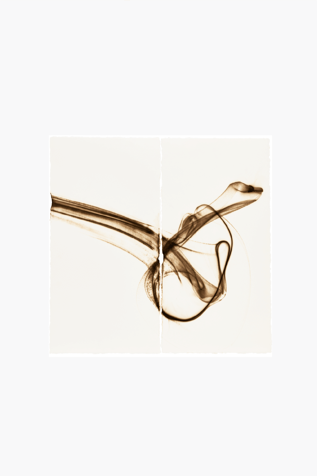 Etsuko Ichikawa, Trace 1125, 2025