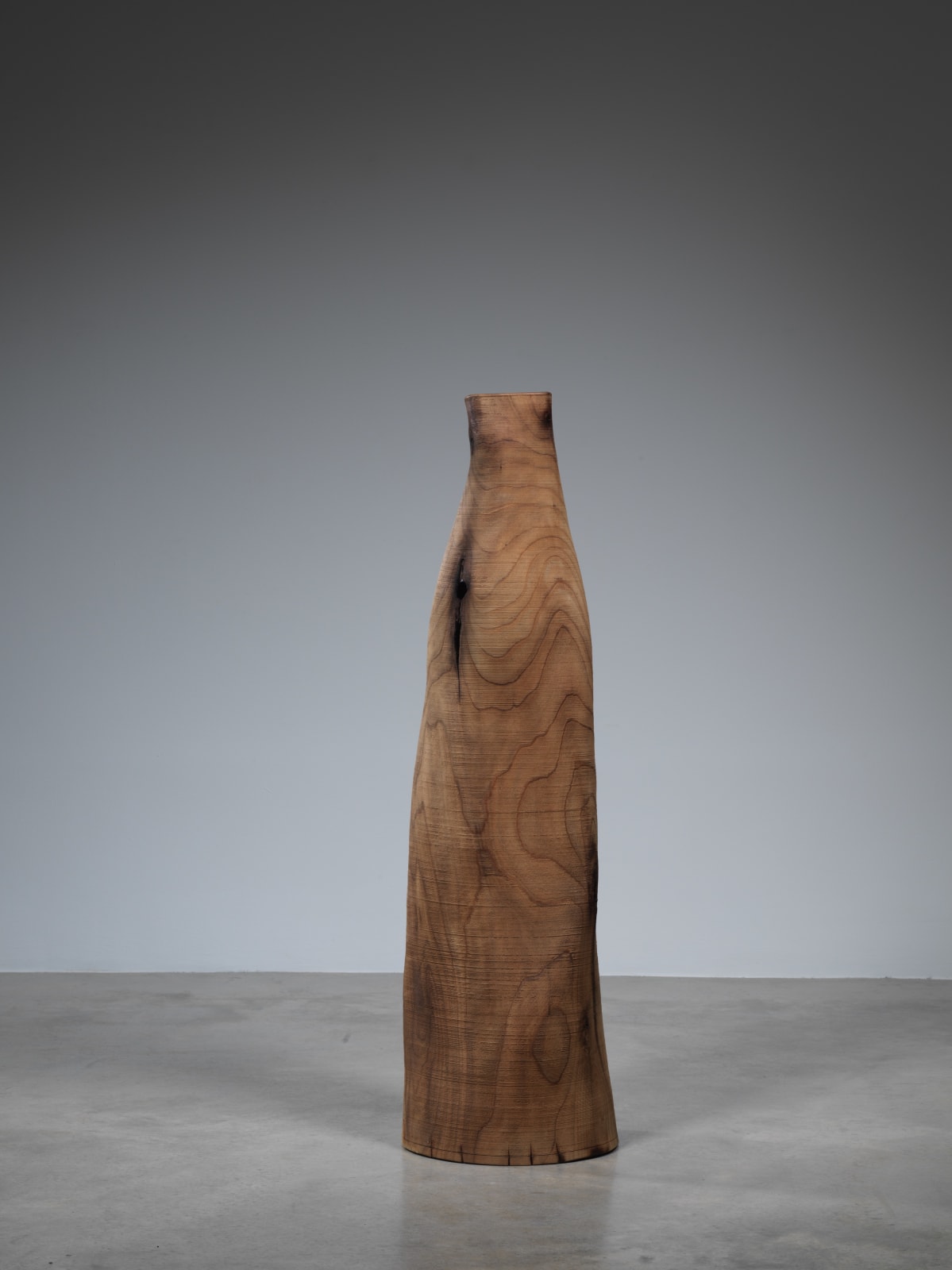 Ernst Gamperl, 61/2019/100, 2019