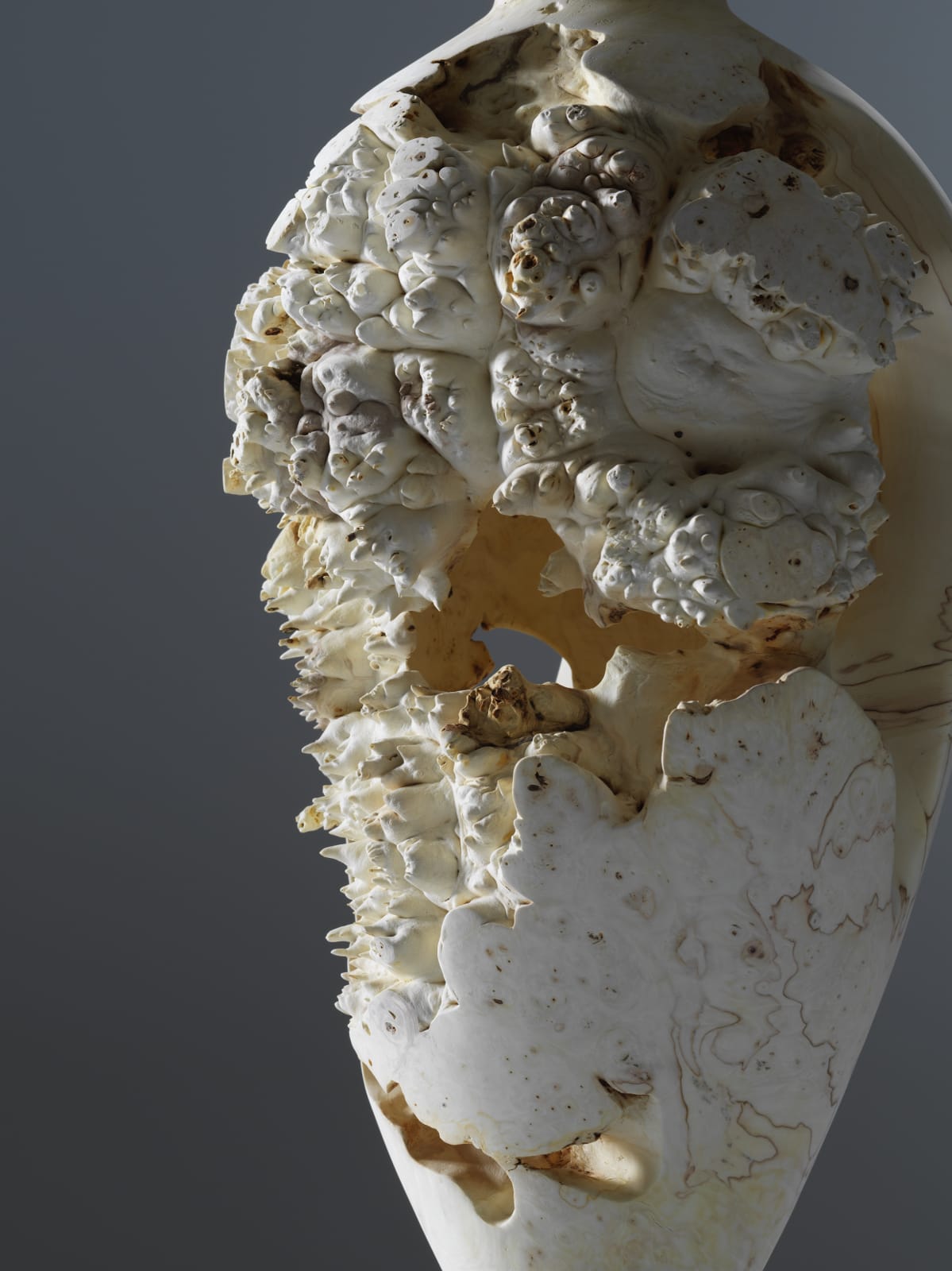 Eleanor Lakelin, Echoes of Amphora: I/19, 2019