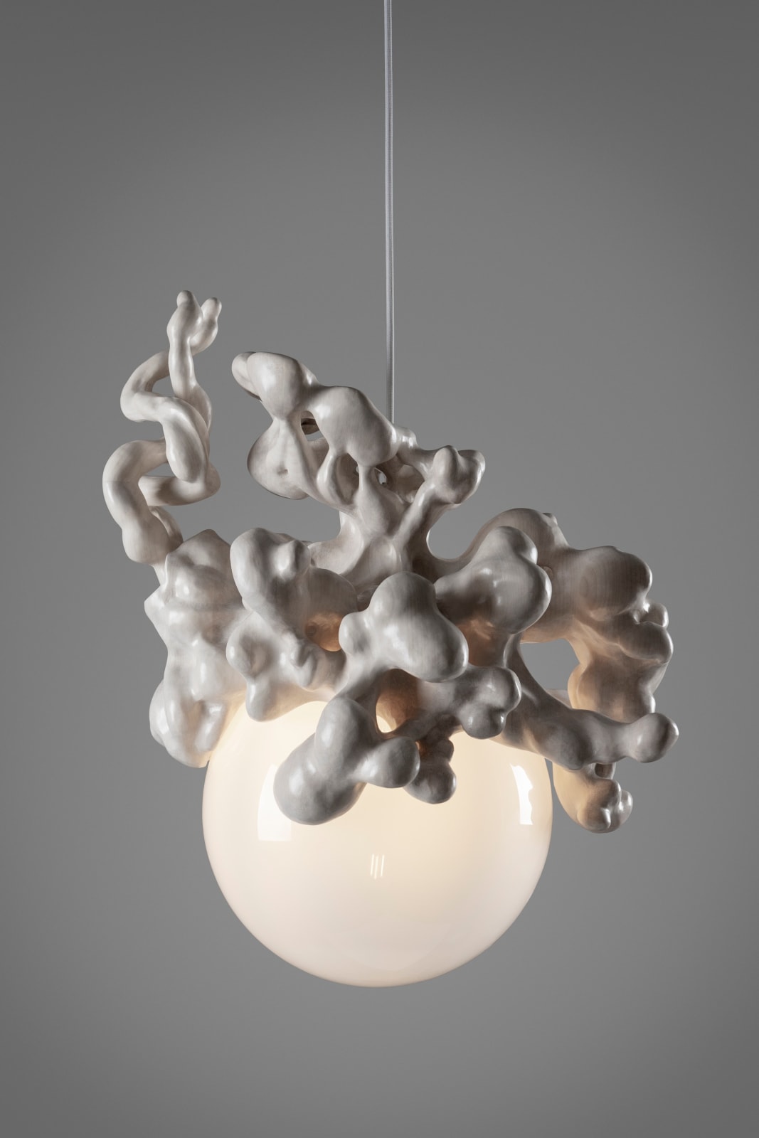 Tadeas Podracky, The Bloom of Bones Light, 2024