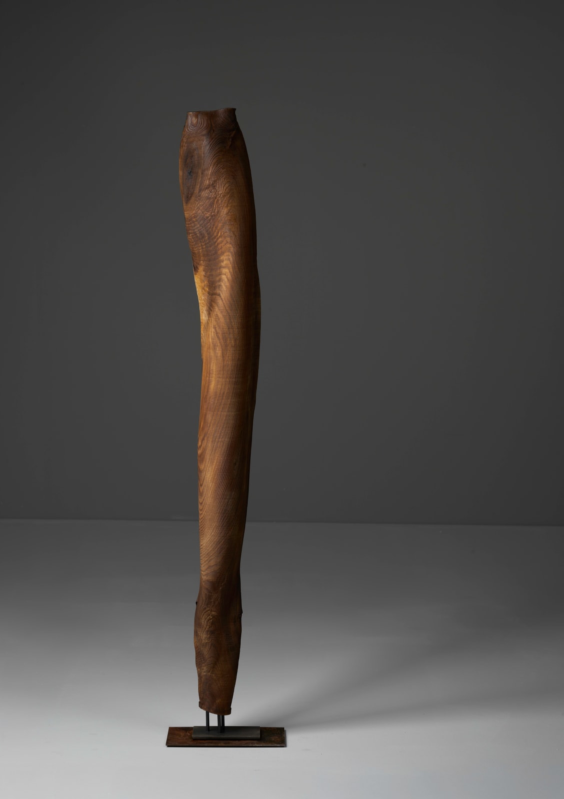 Ernst Gamperl, 29/2024//170, 2024