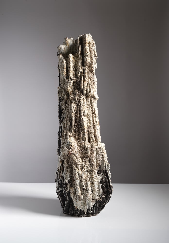 Aneta Regel, Gneiss Trunk, 2025