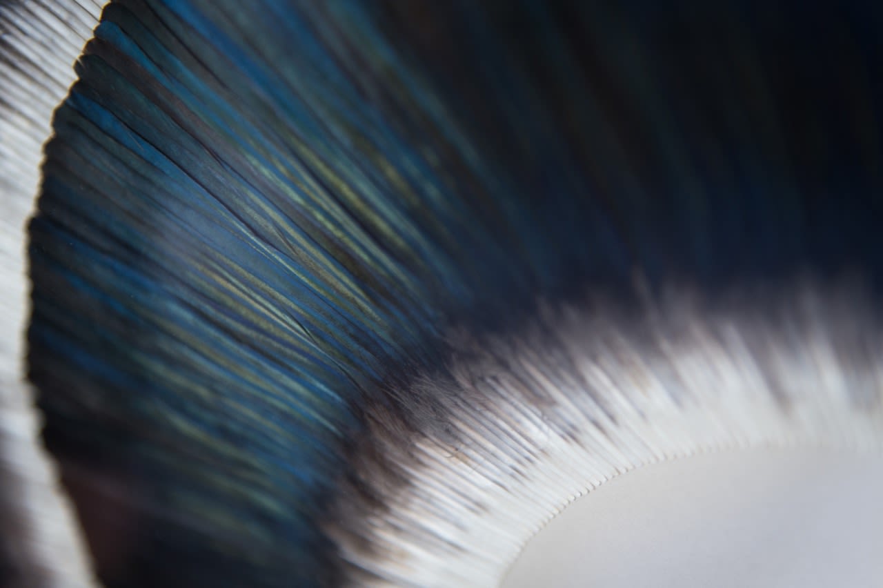 Kate MccGwire, Swell, 2019