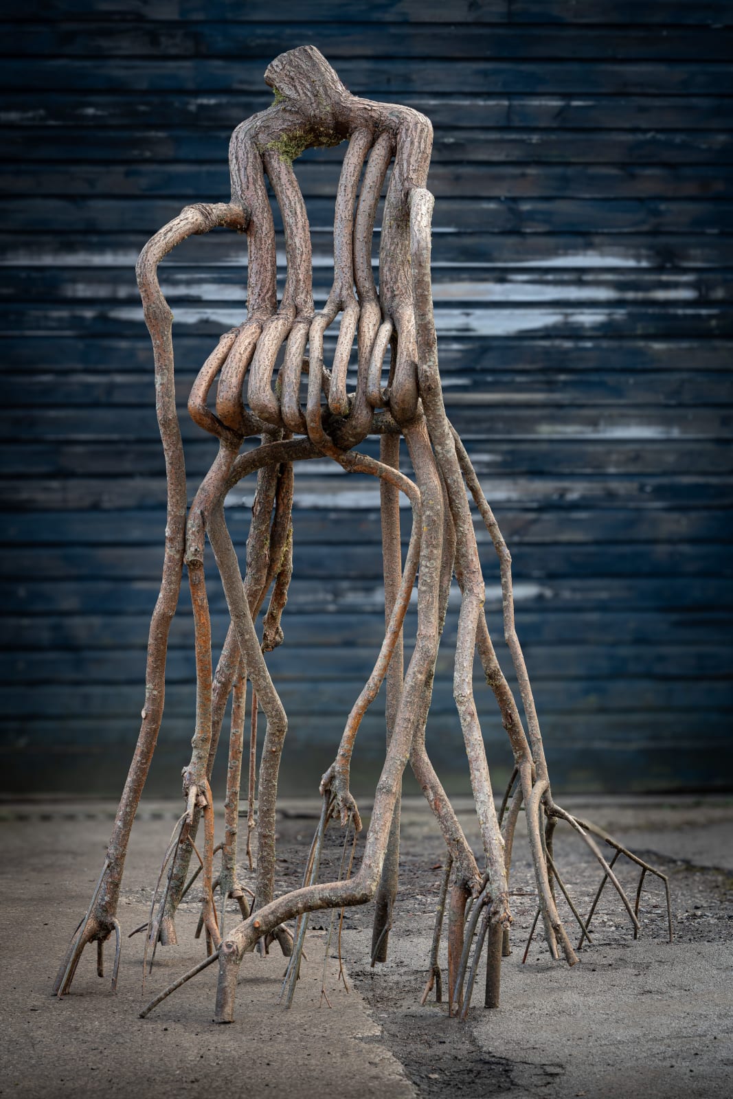 Full Grown, The Athena Behemoth Chair, 2024