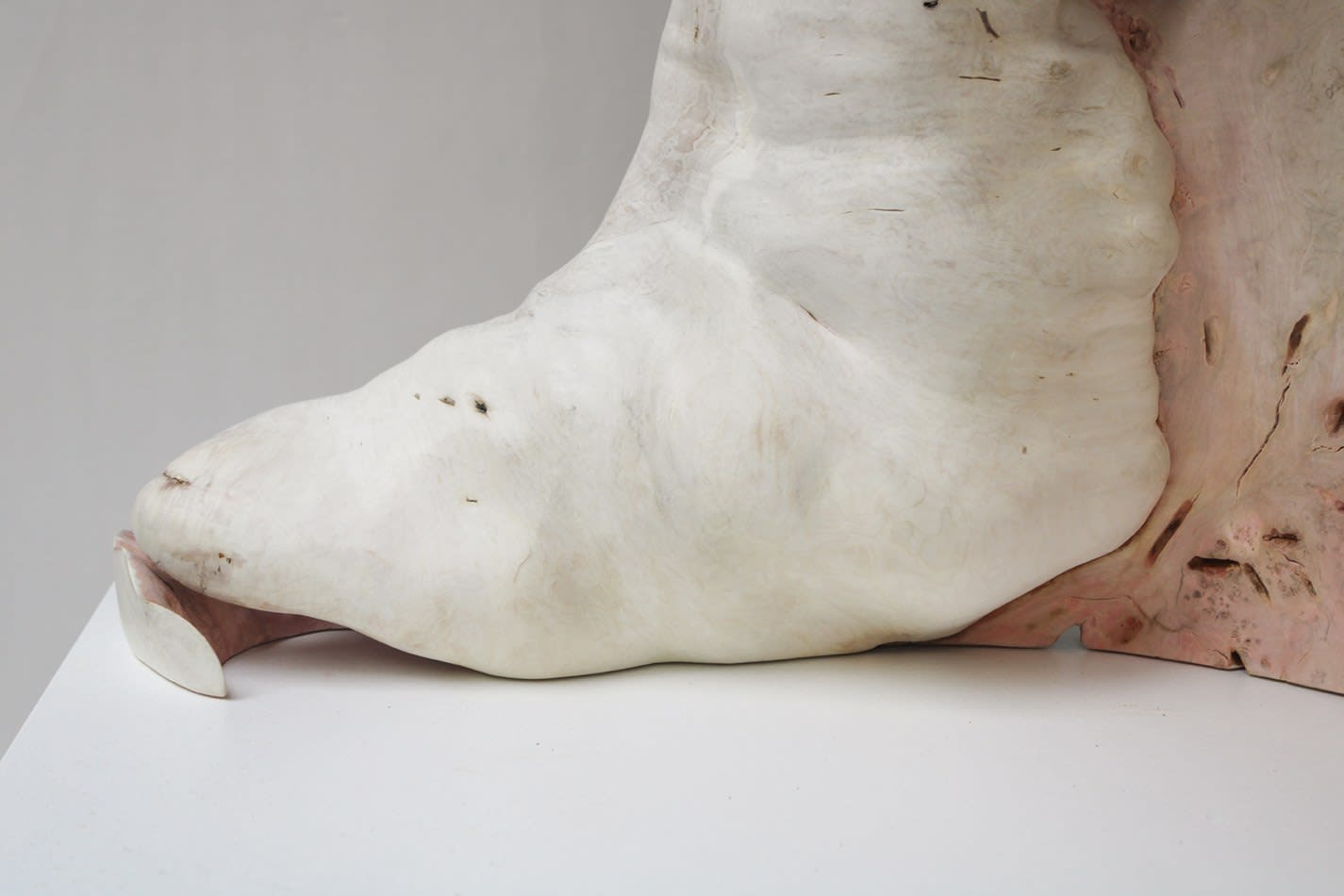 Julian Watts, Shell, 2022