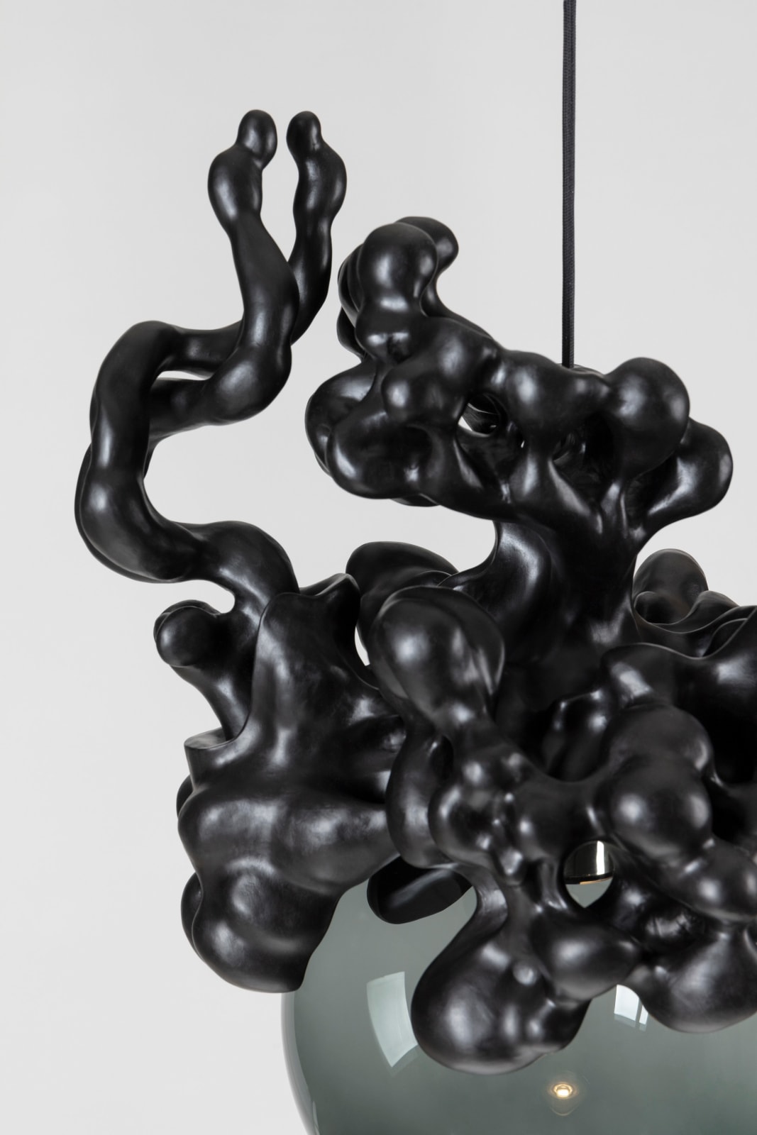 Tadeas Podracky, The Bloom of Bones Light in Black, 2025