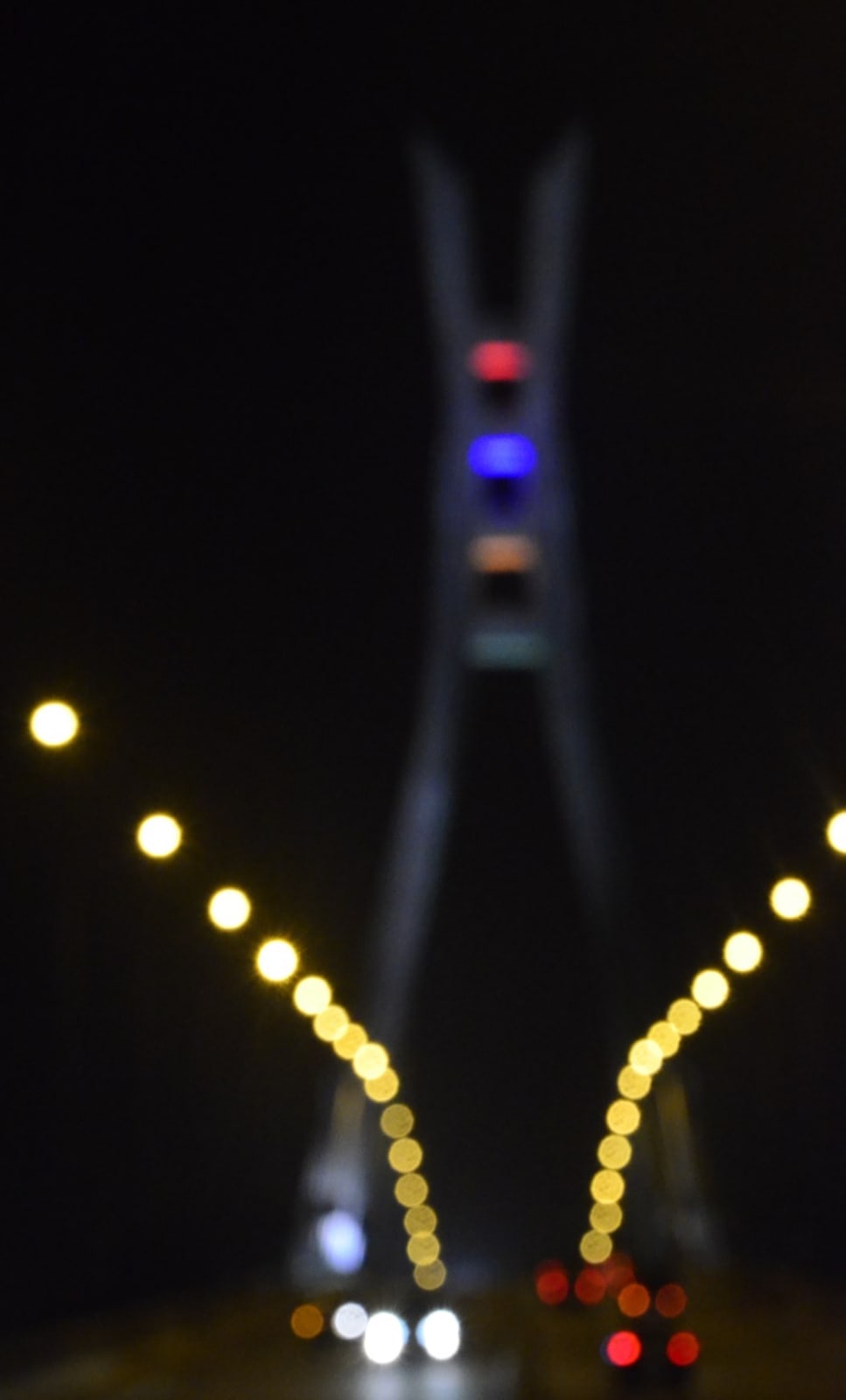 Ozoz Sokoh, Blurred, on Purpose, 2015