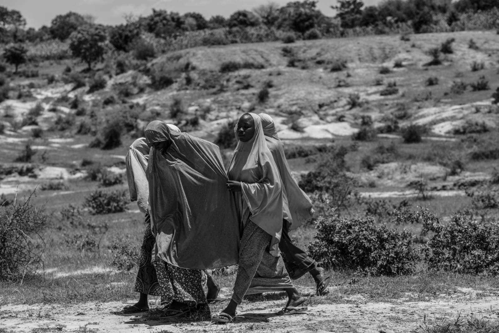 Kola Oshalusi, The Race I, 2017