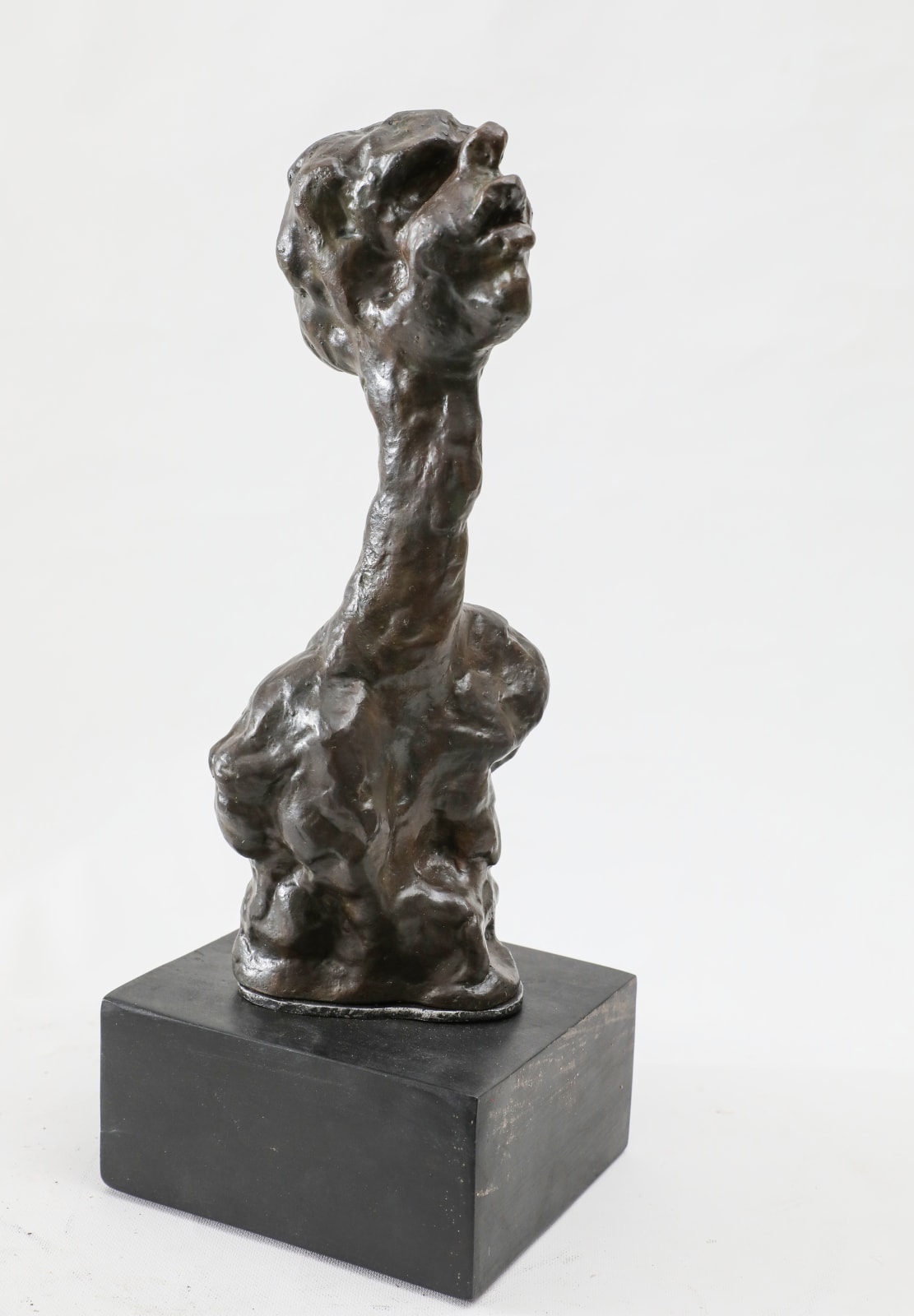 Kenny Adewuyi, Man In Captivity, 2019