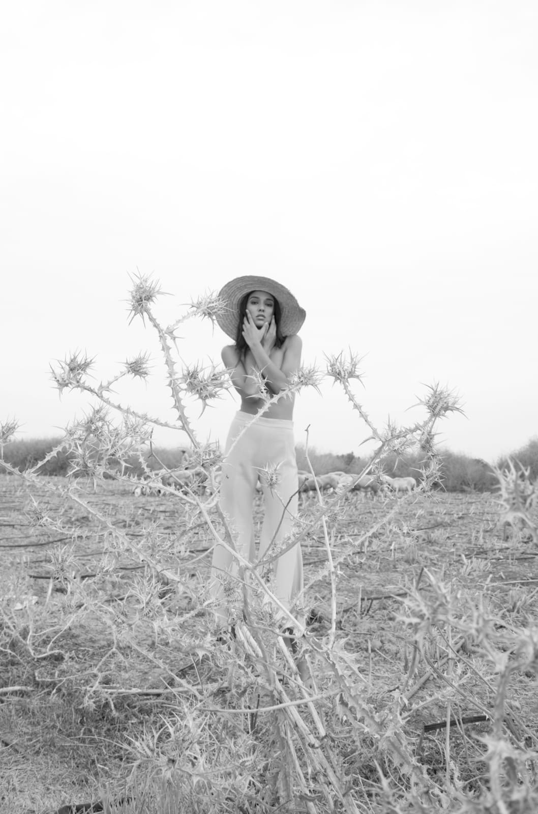 Julia Jaeckin, La fille du Berger