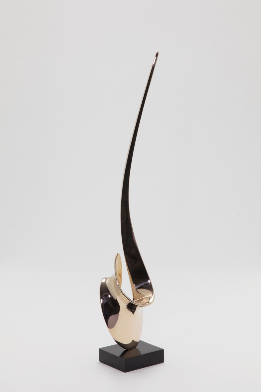 Hugh Chapman, Unfurling