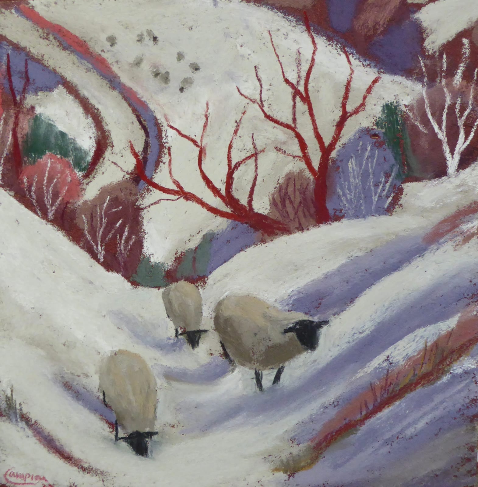 Sue Campion, Sheep at Pulverbatch, 2025