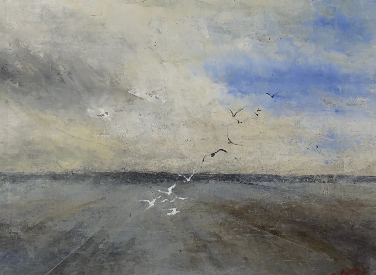 Chris Evans, Ceredigion Bay, 2025