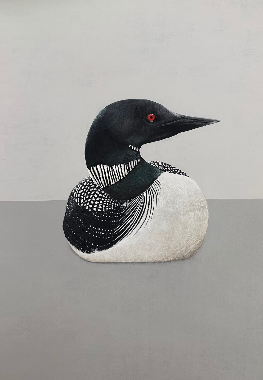 Lucy McLaven, Great Northern Diver, 2024