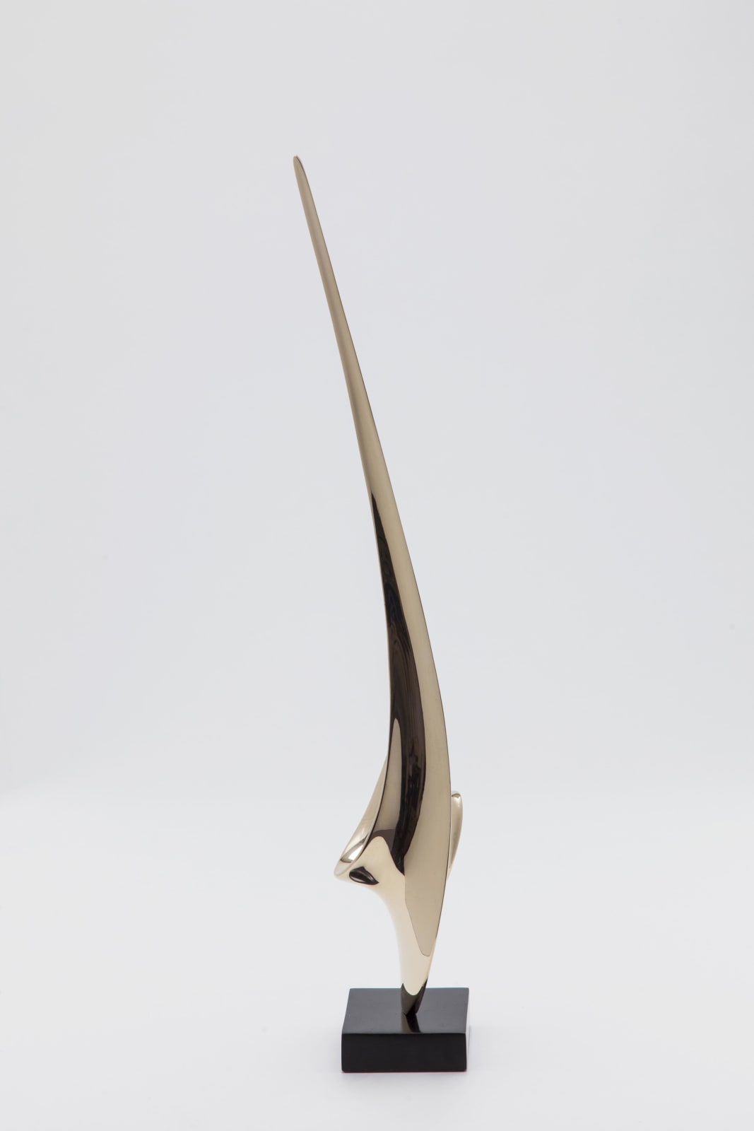 Hugh Chapman, Unfurling
