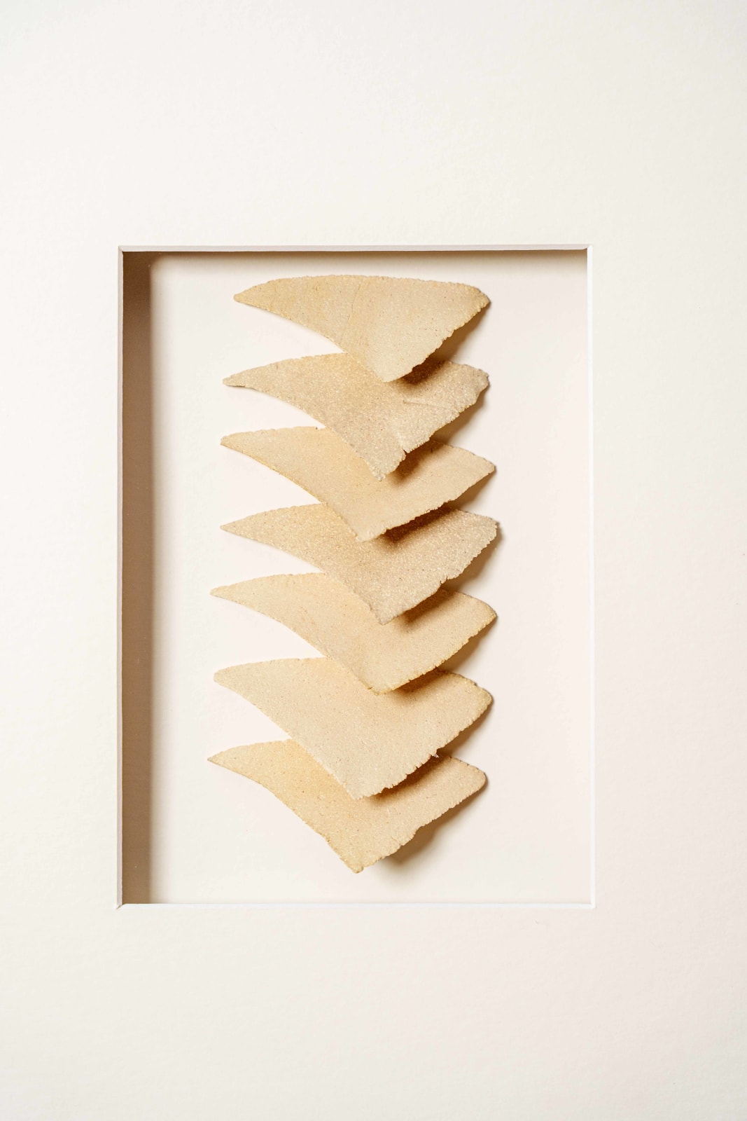 Halima Cassell MBE FRSS, Chevron (Shards), 2025