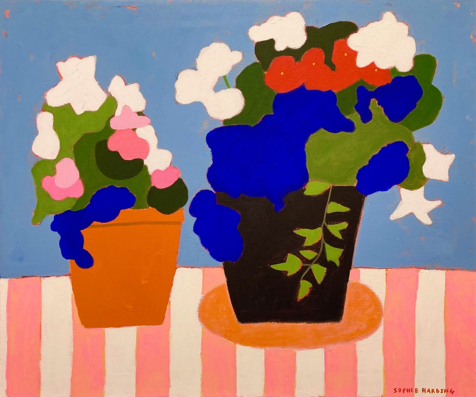 Sophie Harding, Summer Plant Pots , 2025