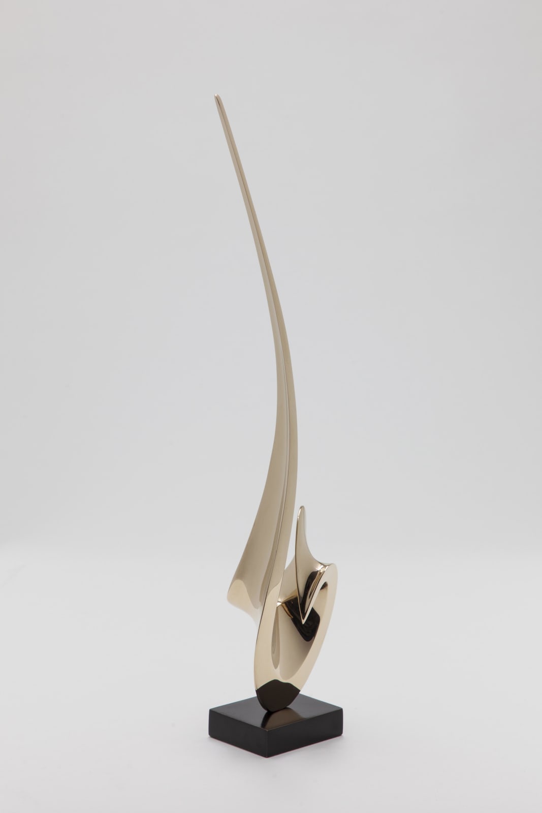 Hugh Chapman, Unfurling