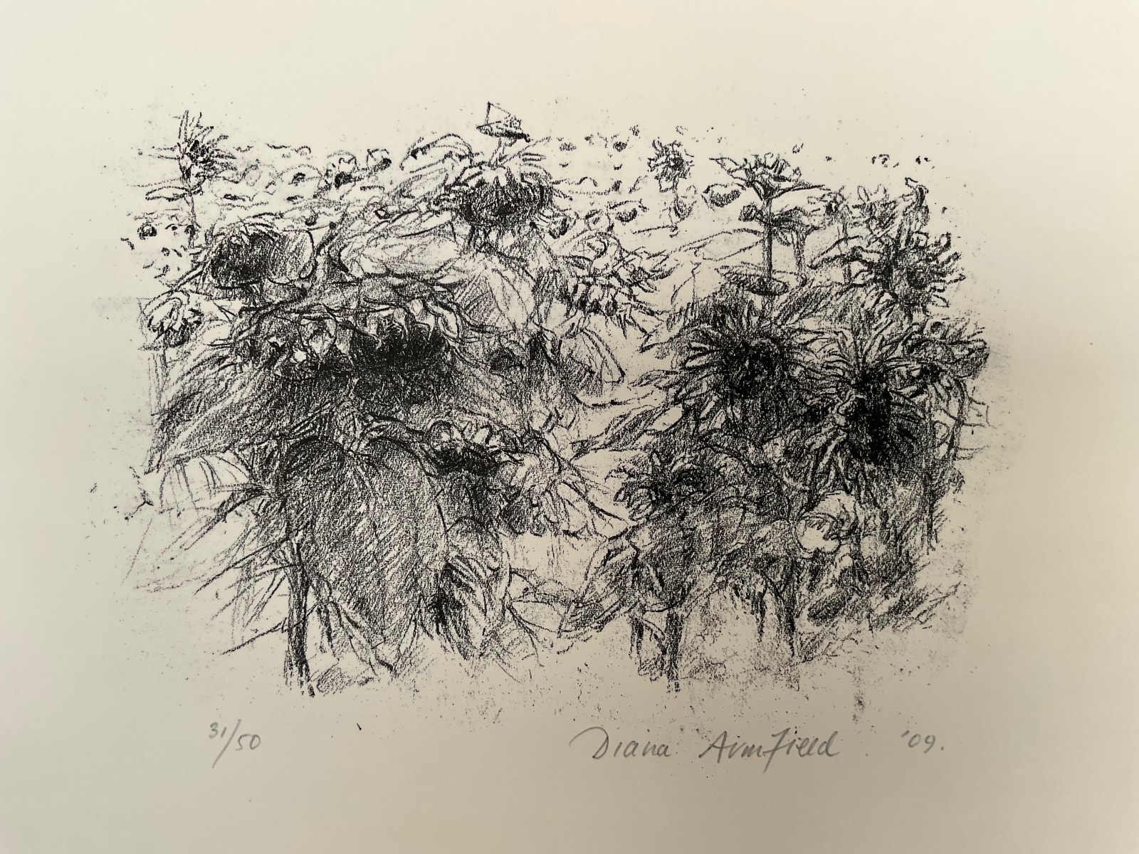 Diana Armfield RA, Full Field of Sunflowers