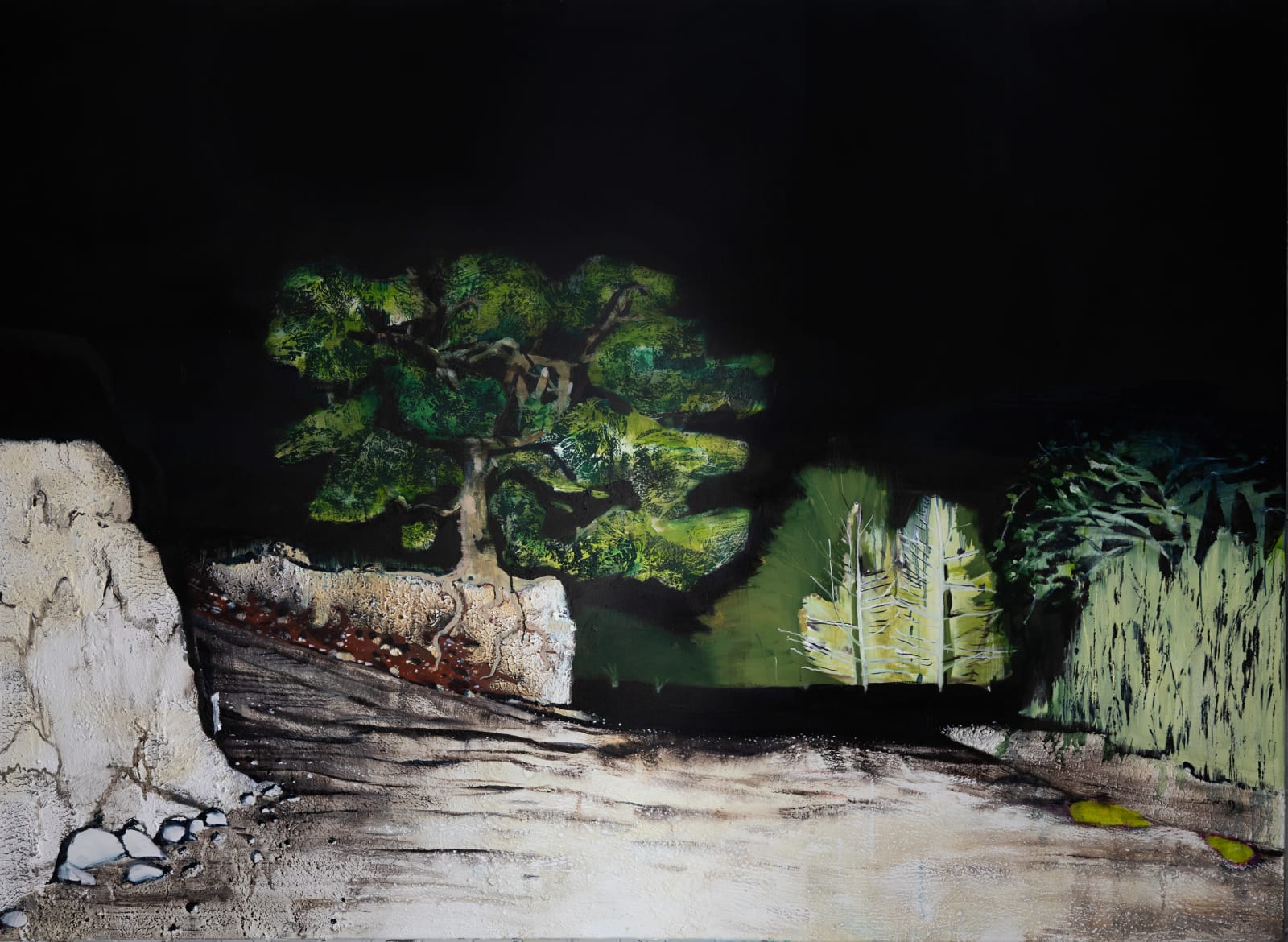 William Mackinnon, Camino 4, 2024