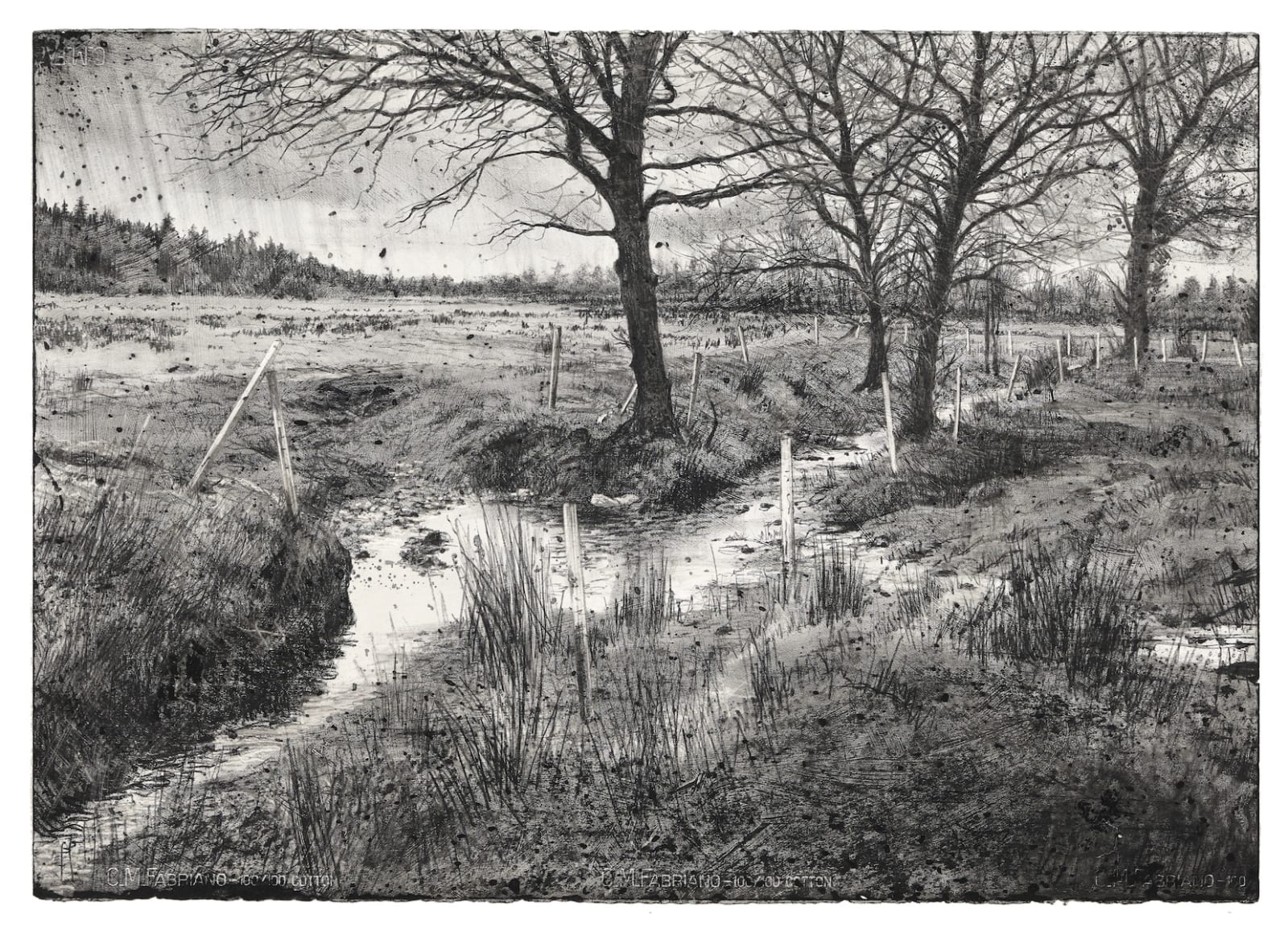 Michael Wann, Imminent Flood, 2020