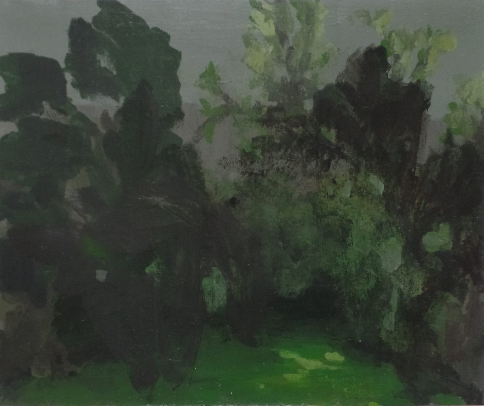 Clifford Collie, The Imagined Garden IX