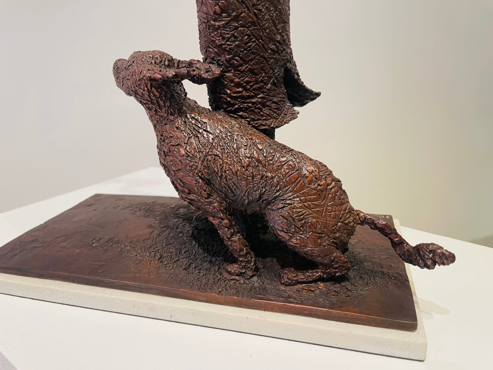 Bob Quinn, Storm Warning, 2022