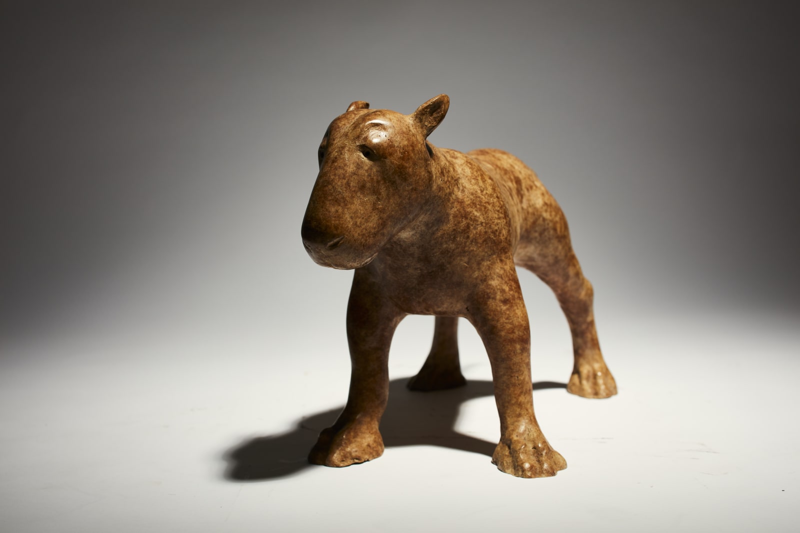 Anthony Scott RUA, Brindle Bull Terrier