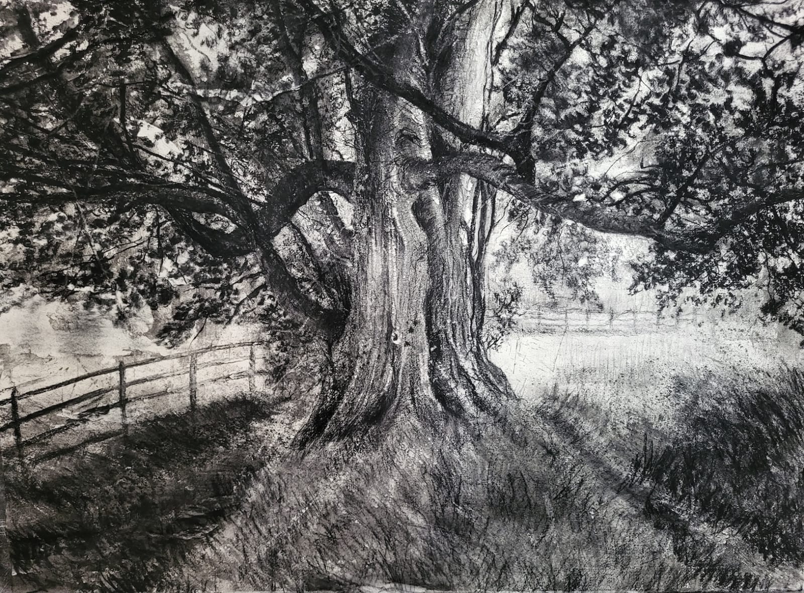 Michael Wann, The Trees Around Here 1, 2023