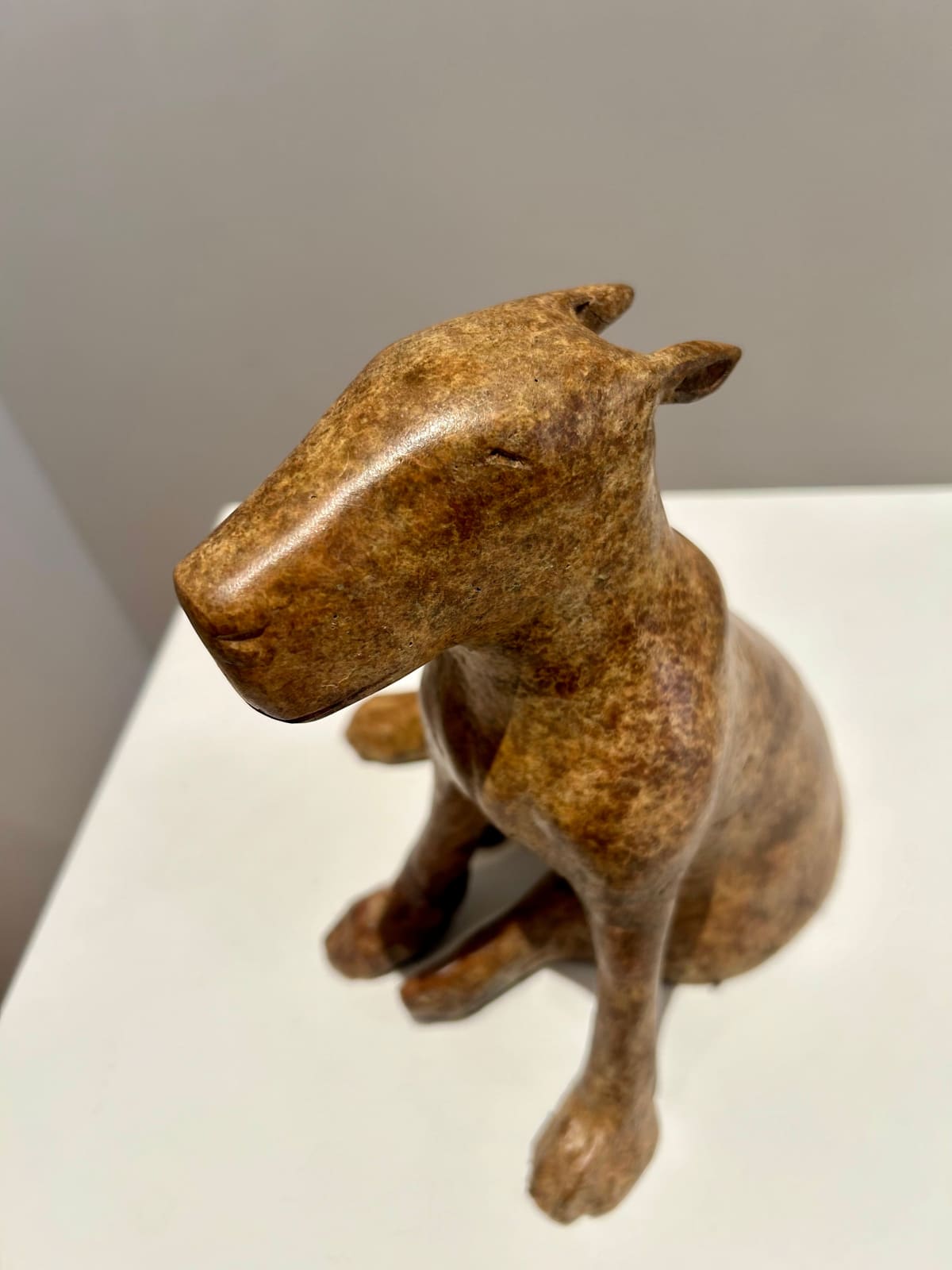 Anthony Scott RUA, Ailbhe, 2024