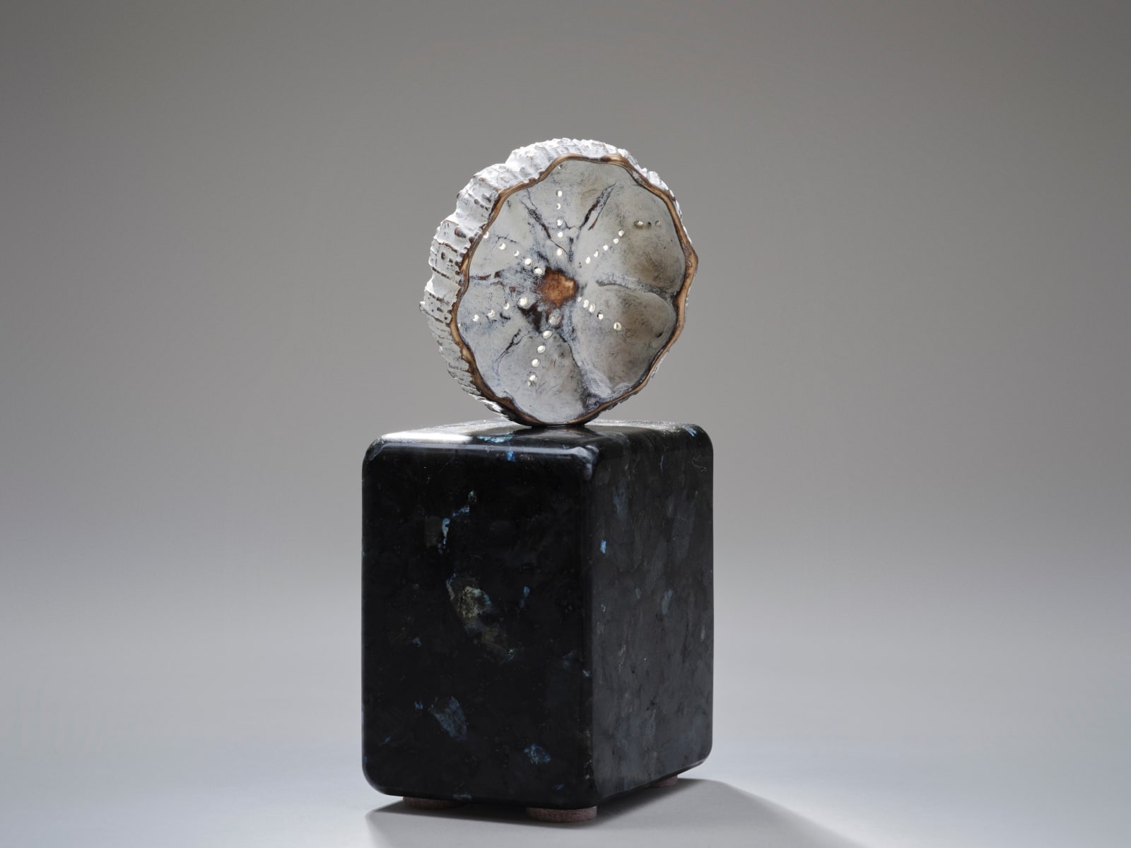Rachel Joynt RHA, Un seen VII
